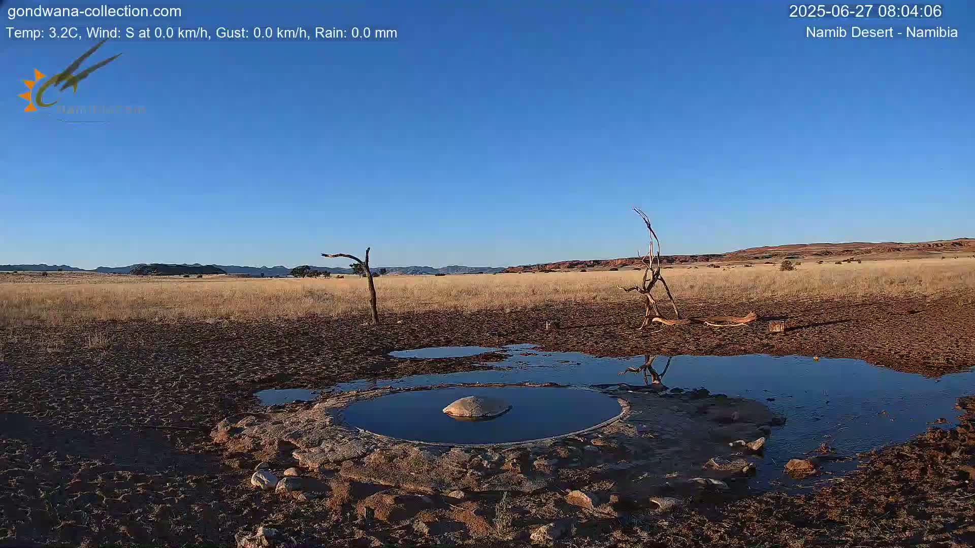 Wild Life in Namib Desert Naukluft National Park Live Cam - Maltahohe, Hardap,  Namibia