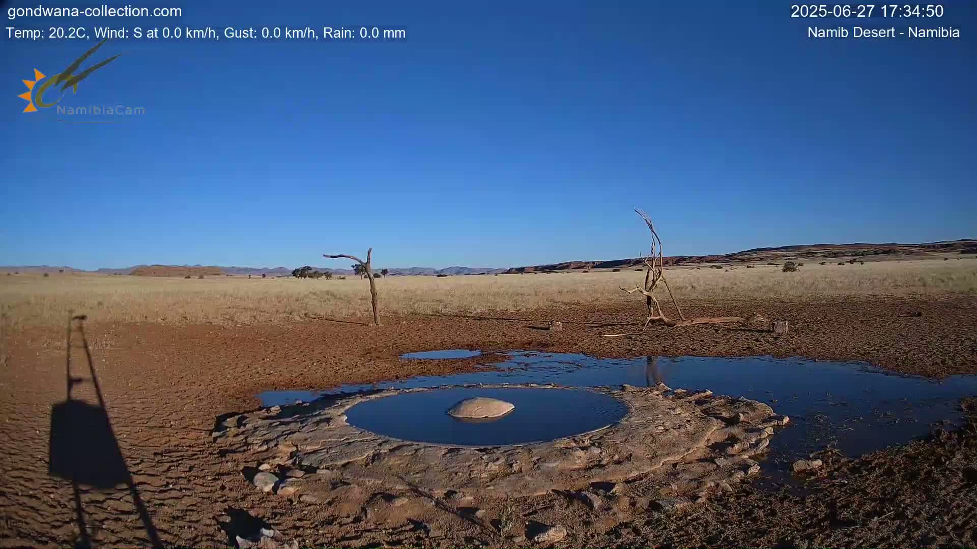 Wild Life in Namib Desert Naukluft National Park Live Cam - Maltahohe, Hardap,  Namibia