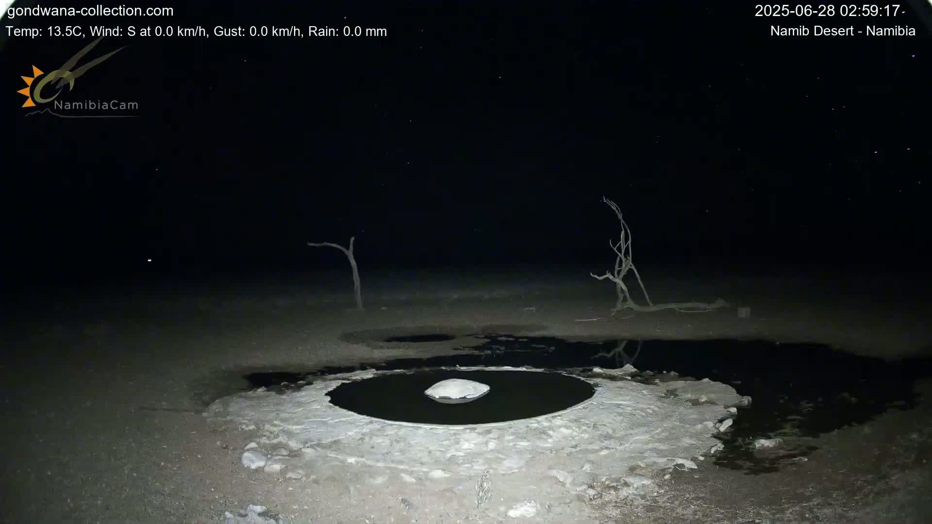 Wild Life in Namib Desert Naukluft National Park Live Cam - Maltahohe, Hardap,  Namibia
