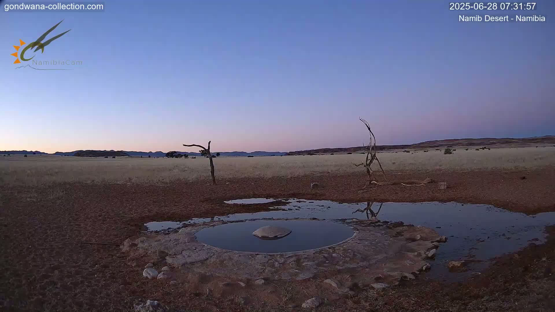 Wild Life in Namib Desert Naukluft National Park Live Cam - Maltahohe, Hardap,  Namibia