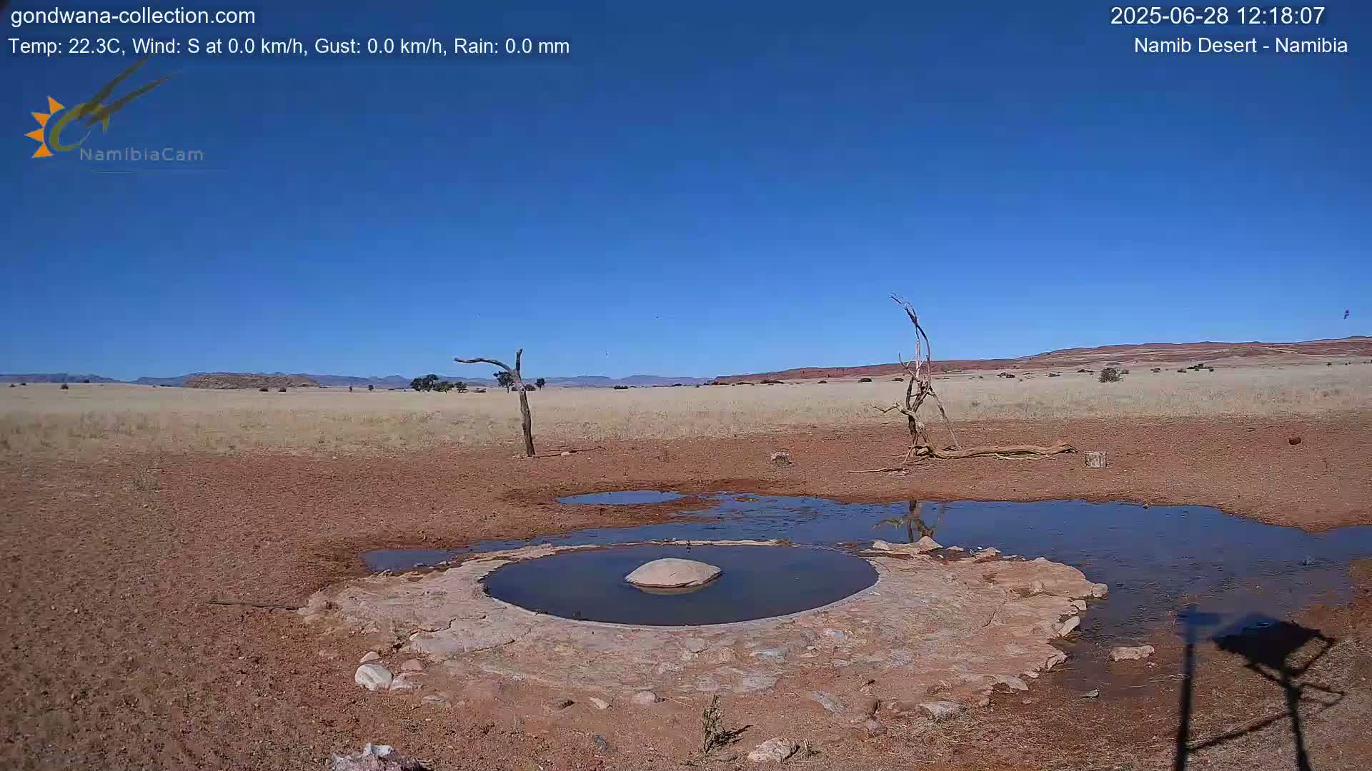Wild Life in Namib Desert Naukluft National Park Live Cam - Maltahohe, Hardap,  Namibia
