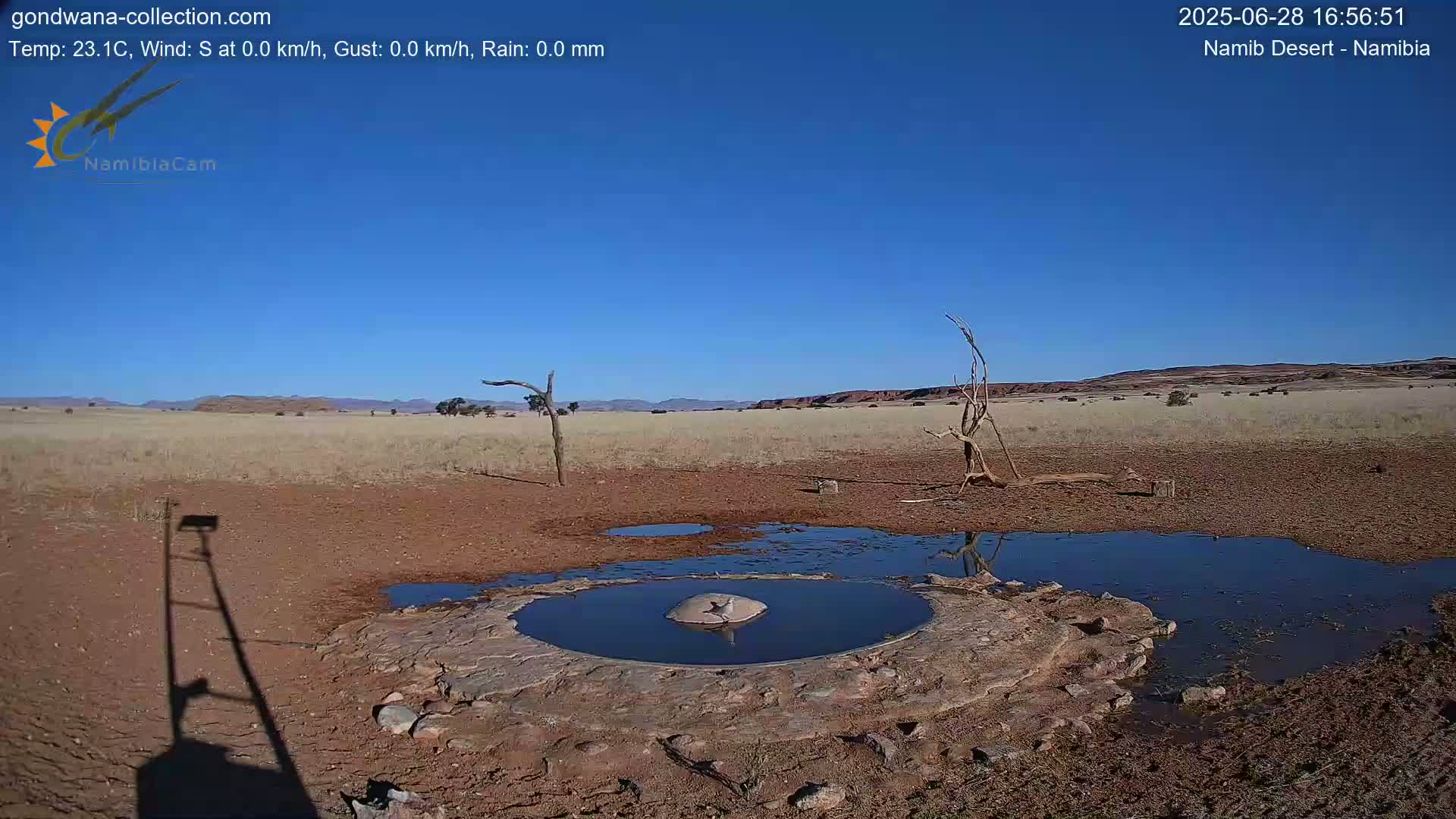 Wild Life in Namib Desert Naukluft National Park Live Cam - Maltahohe, Hardap,  Namibia