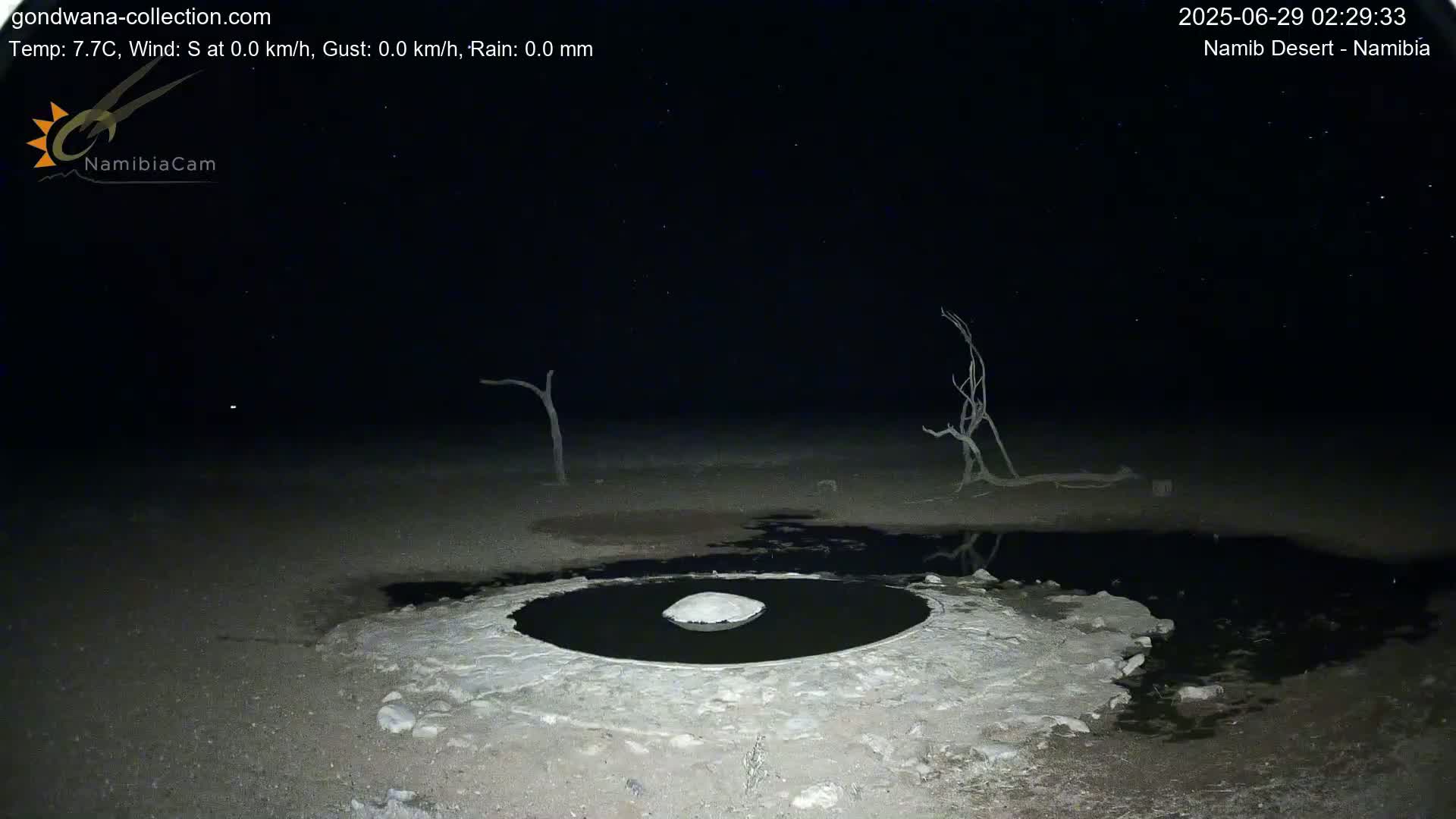 Wild Life in Namib Desert Naukluft National Park Live Cam - Maltahohe, Hardap,  Namibia