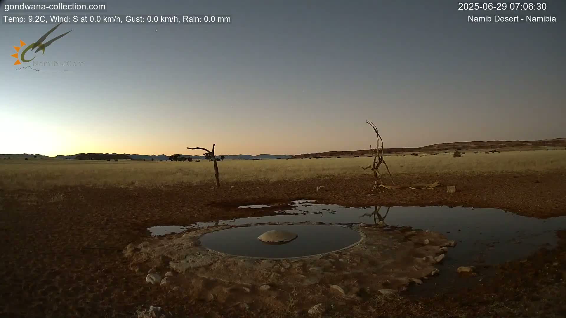 Wild Life in Namib Desert Naukluft National Park Live Cam - Maltahohe, Hardap,  Namibia