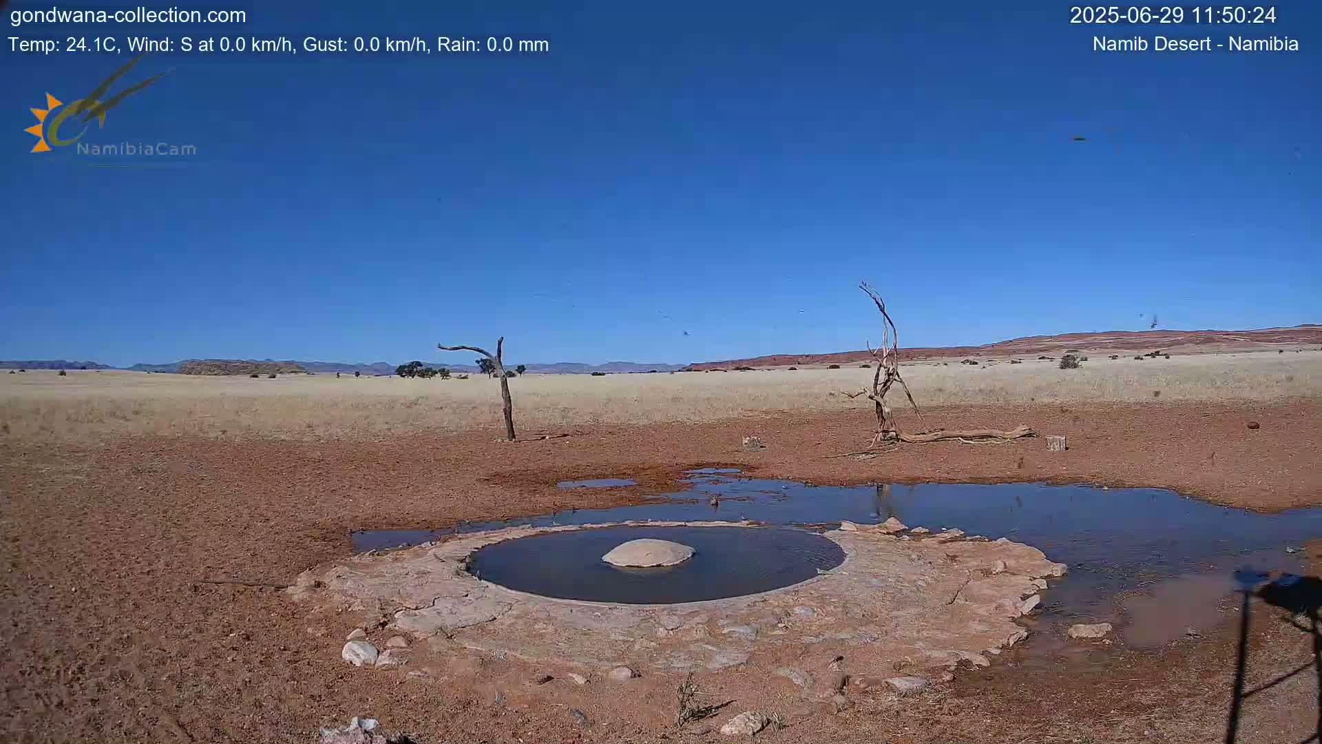 Wild Life in Namib Desert Naukluft National Park Live Cam - Maltahohe, Hardap,  Namibia