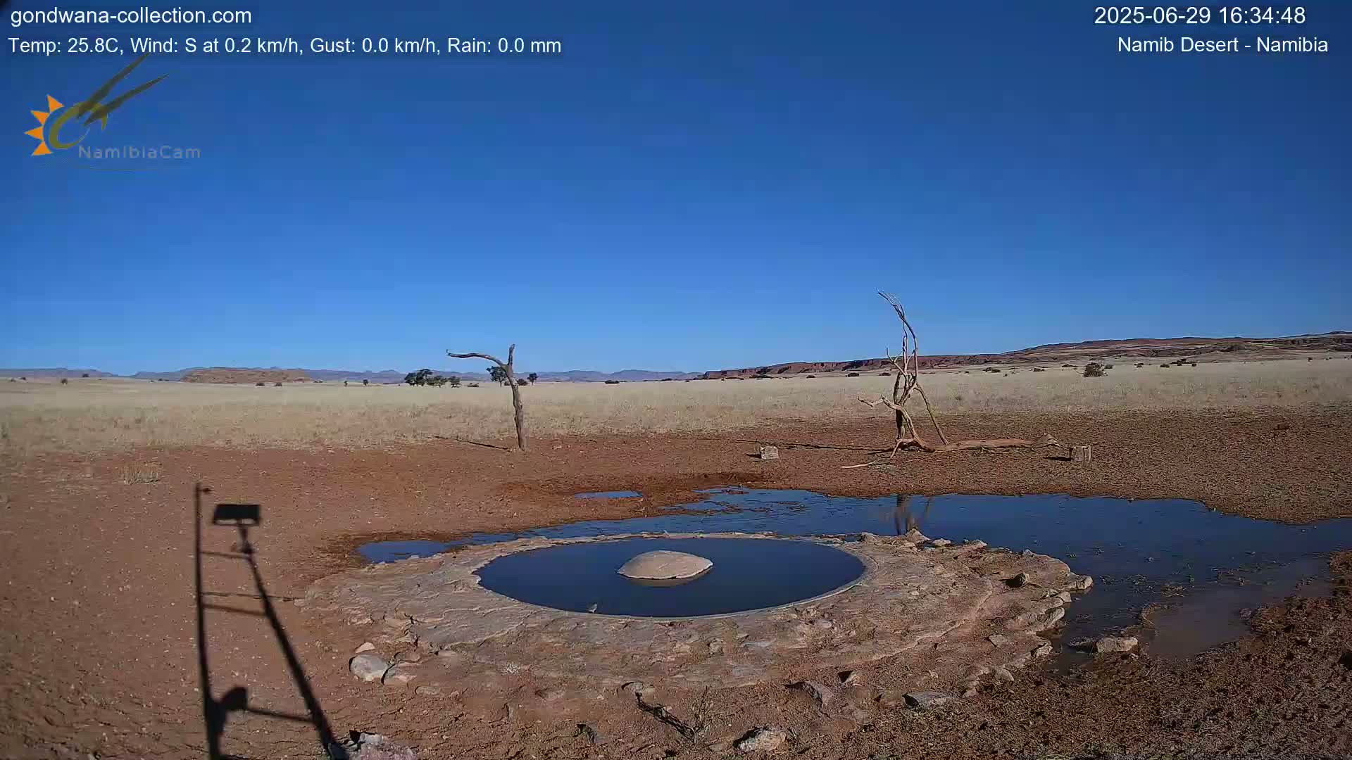 Wild Life in Namib Desert Naukluft National Park Live Cam - Maltahohe, Hardap,  Namibia