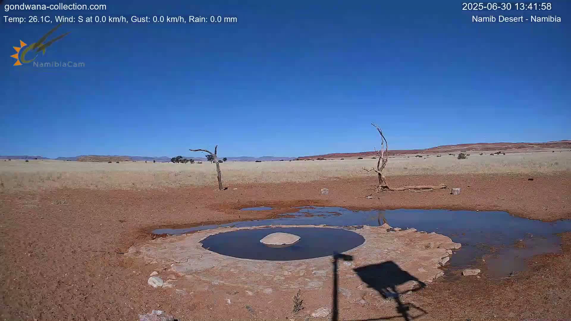 Wild Life in Namib Desert Naukluft National Park Live Cam - Maltahohe, Hardap,  Namibia