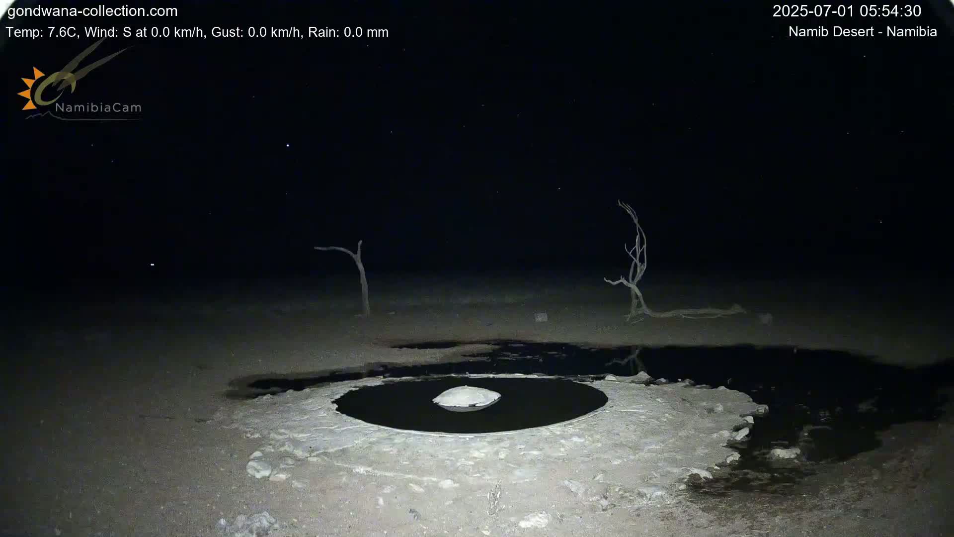 Wild Life in Namib Desert Naukluft National Park Live Cam - Maltahohe, Hardap,  Namibia
