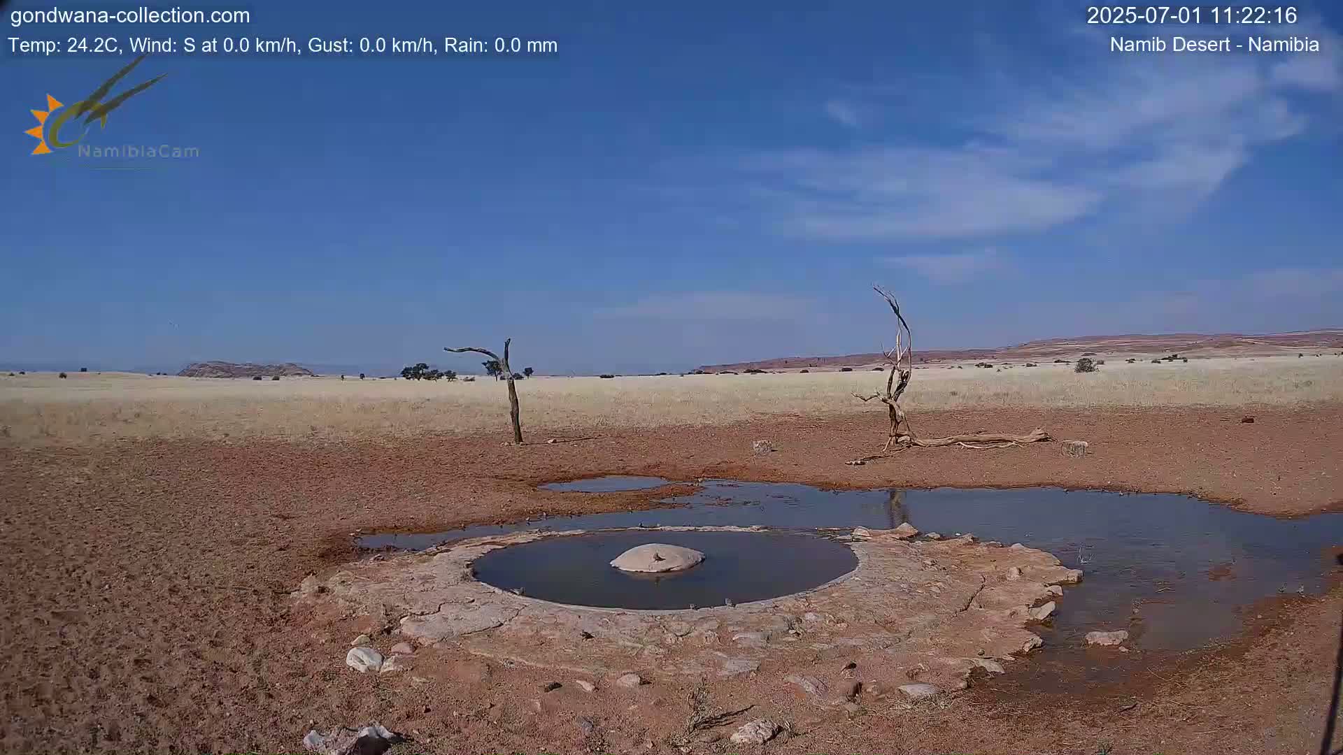 Wild Life in Namib Desert Naukluft National Park Live Cam - Maltahohe, Hardap,  Namibia