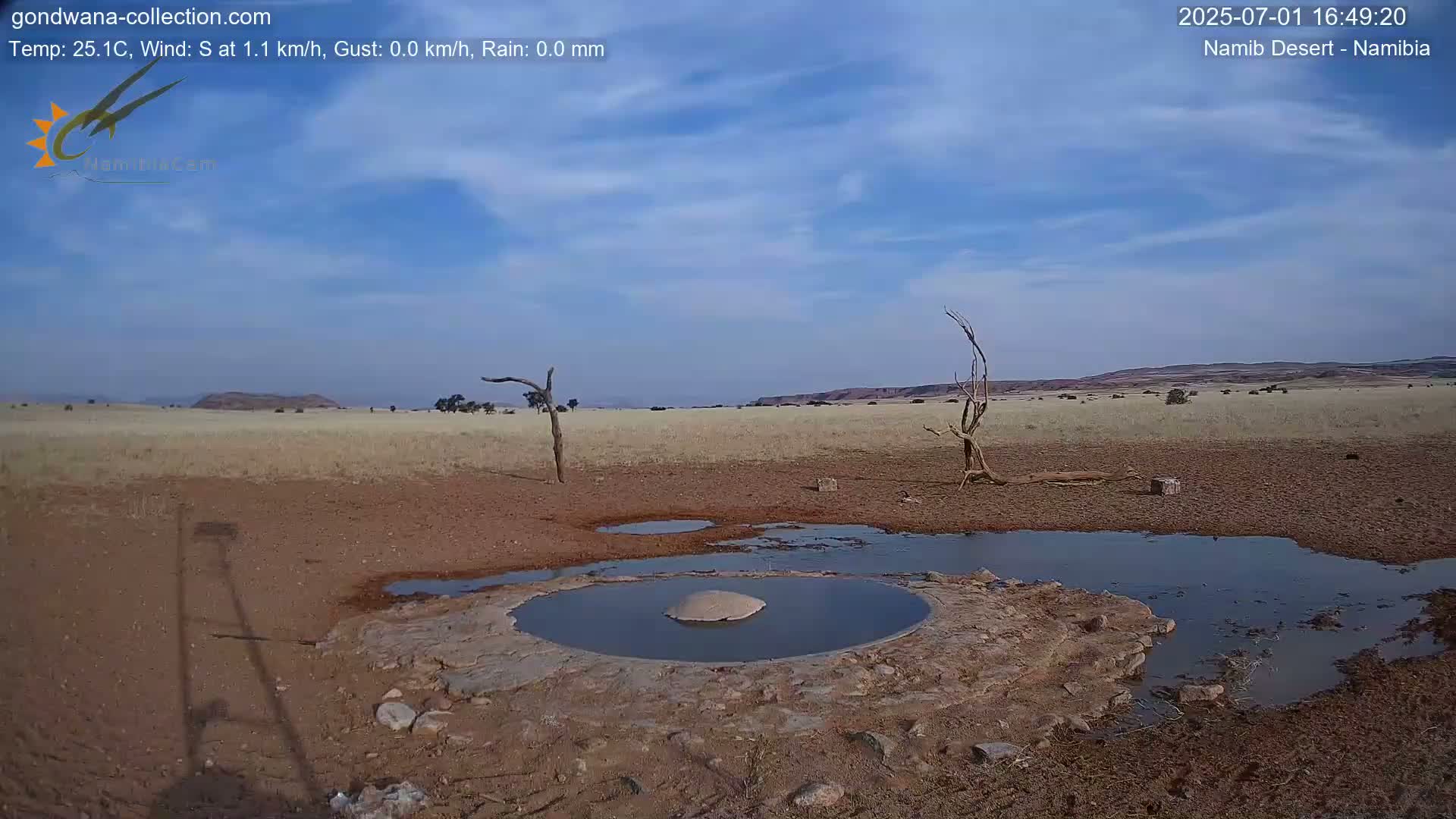 Wild Life in Namib Desert Naukluft National Park Live Cam - Maltahohe, Hardap,  Namibia