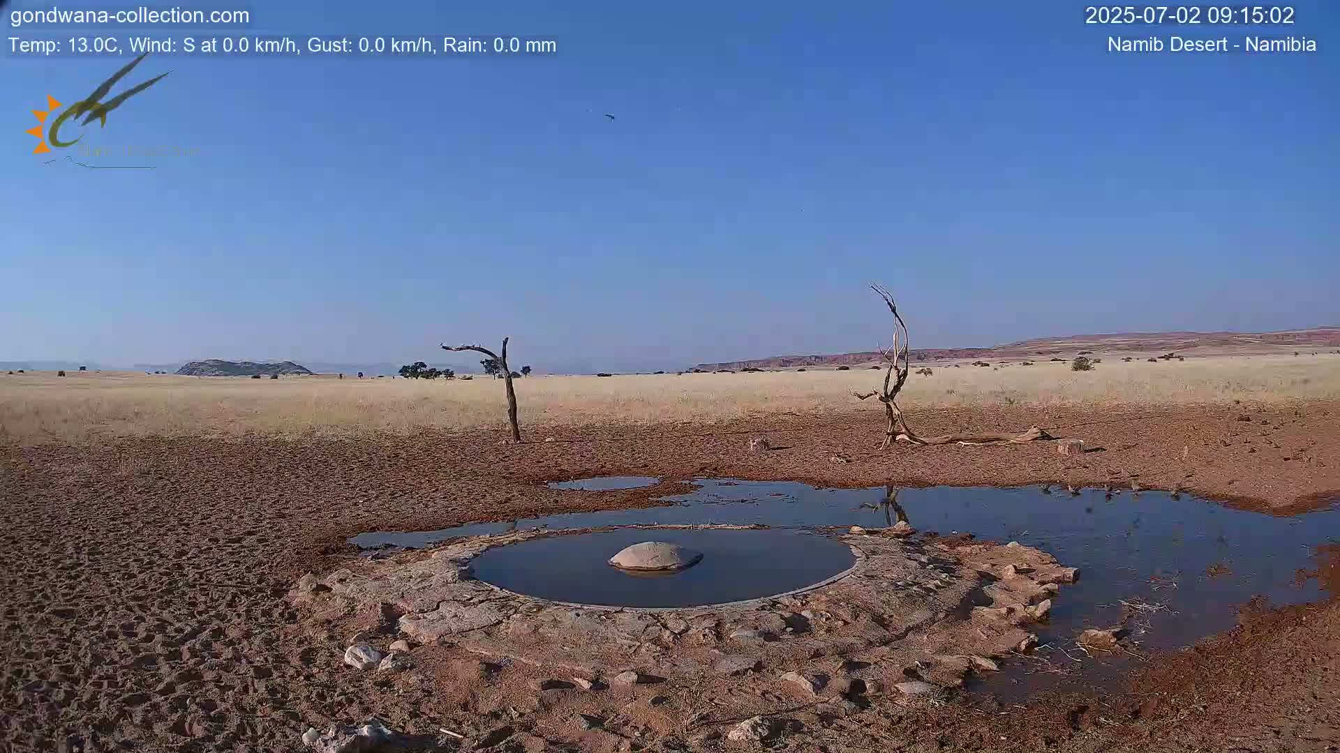 A rocky, arid landscape with small pools of water, dry earth, and a few dead trees under a clear blue sky.