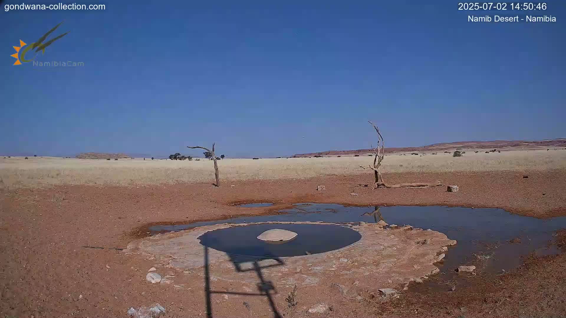 Wild Life in Namib Desert Naukluft National Park Live Cam - Maltahohe, Hardap,  Namibia