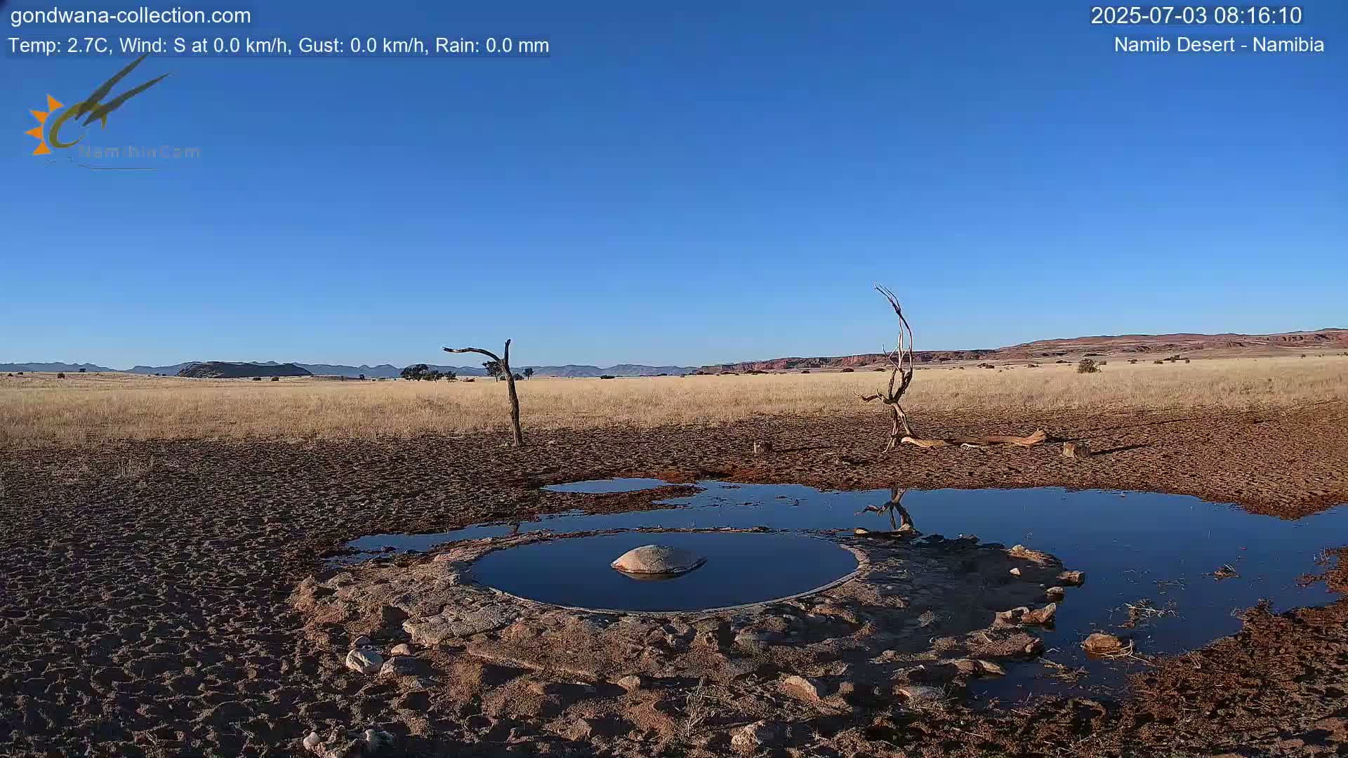 Wild Life in Namib Desert Naukluft National Park Live Cam - Maltahohe, Hardap,  Namibia