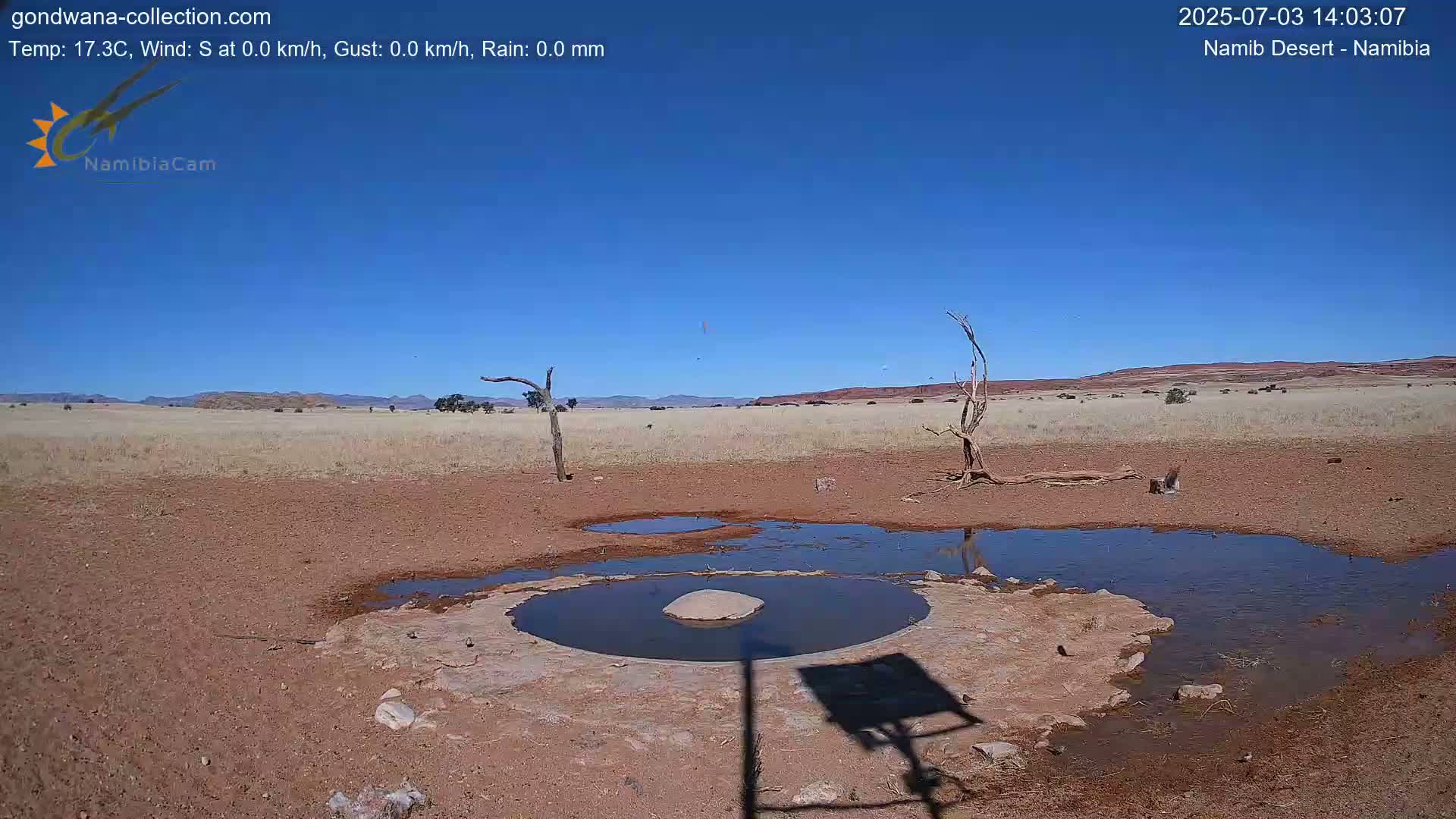 Wild Life in Namib Desert Naukluft National Park Live Cam - Maltahohe, Hardap,  Namibia