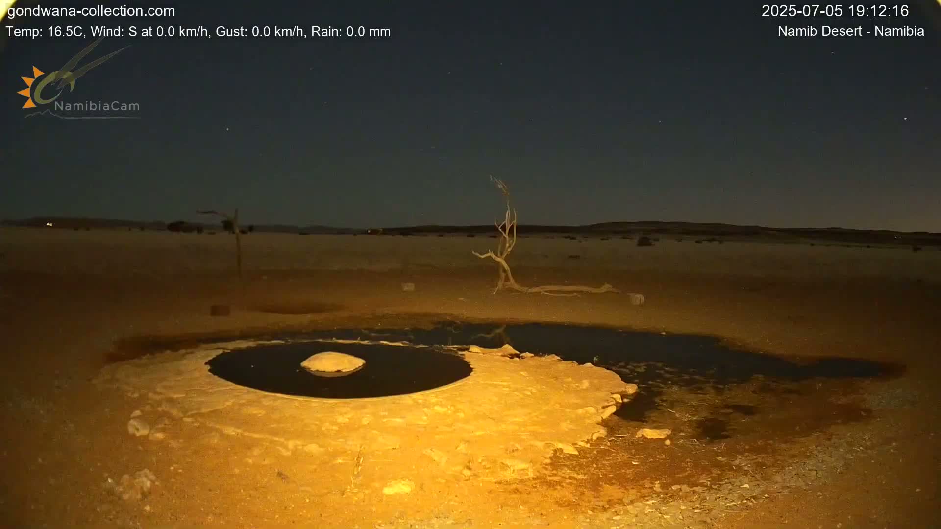 Wild Life in Namib Desert Naukluft National Park Live Cam - Maltahohe, Hardap,  Namibia