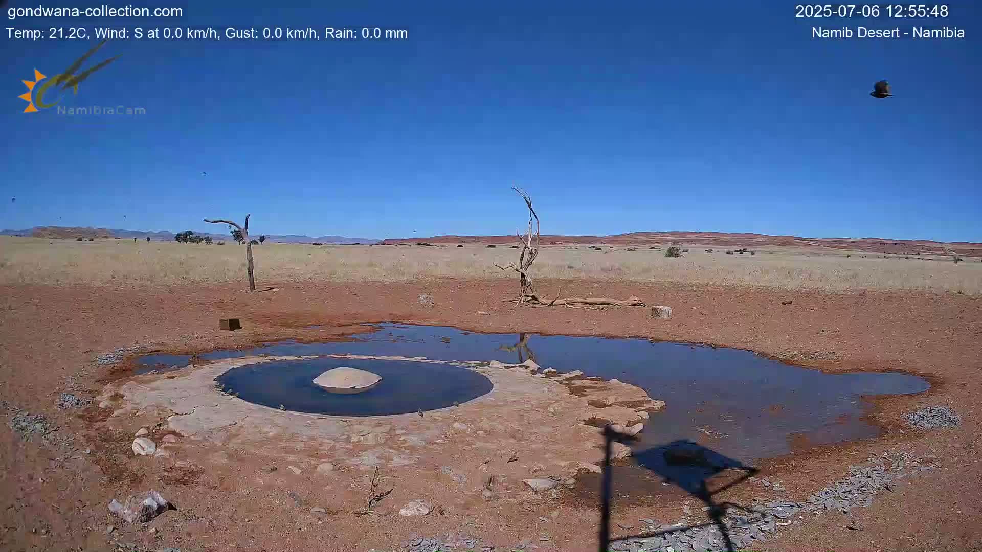 Wild Life in Namib Desert Naukluft National Park Live Cam - Maltahohe, Hardap,  Namibia