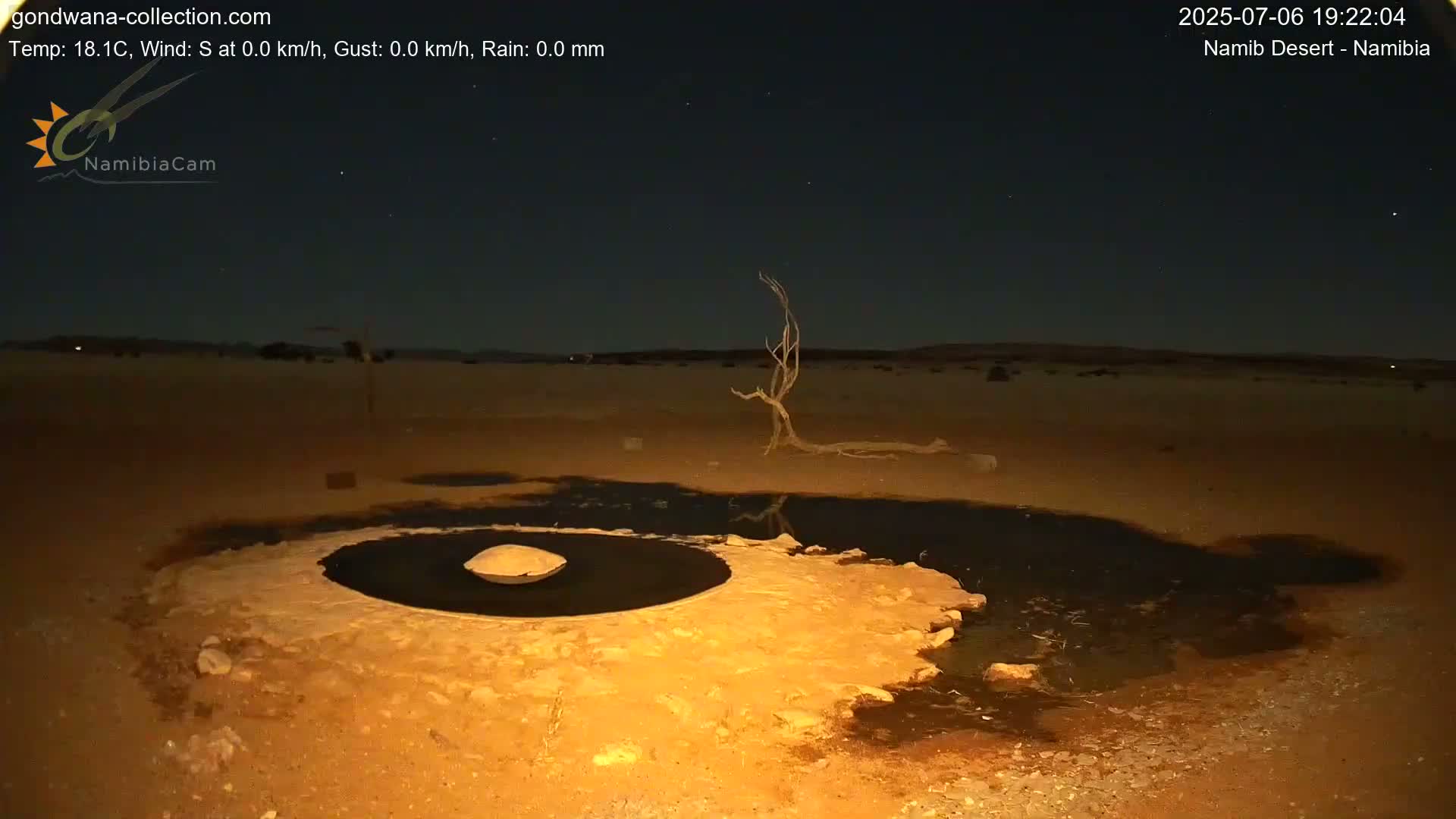Wild Life in Namib Desert Naukluft National Park Live Cam - Maltahohe, Hardap,  Namibia