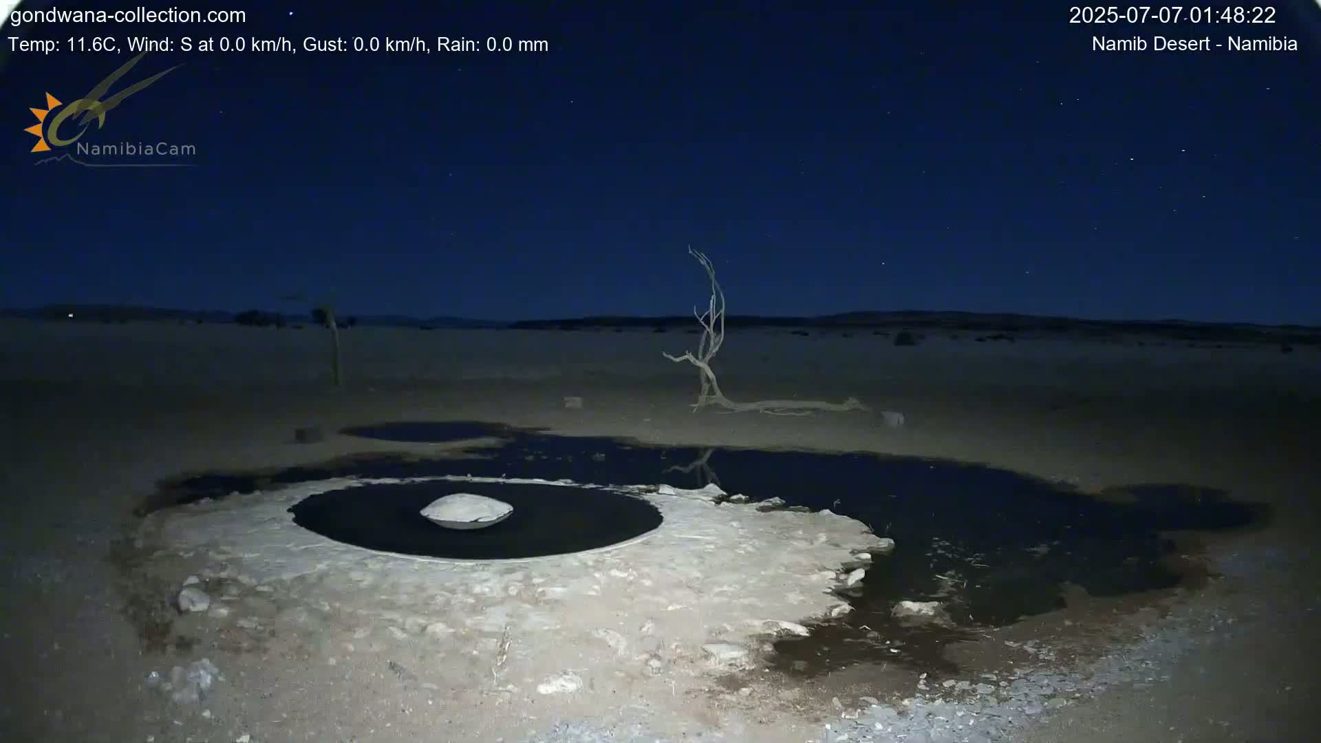Wild Life in Namib Desert Naukluft National Park Live Cam - Maltahohe, Hardap,  Namibia
