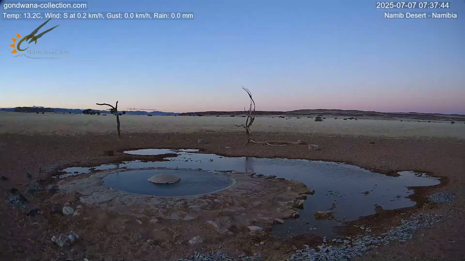 Wild Life in Namib Desert Naukluft National Park Live Cam - Maltahohe, Hardap,  Namibia