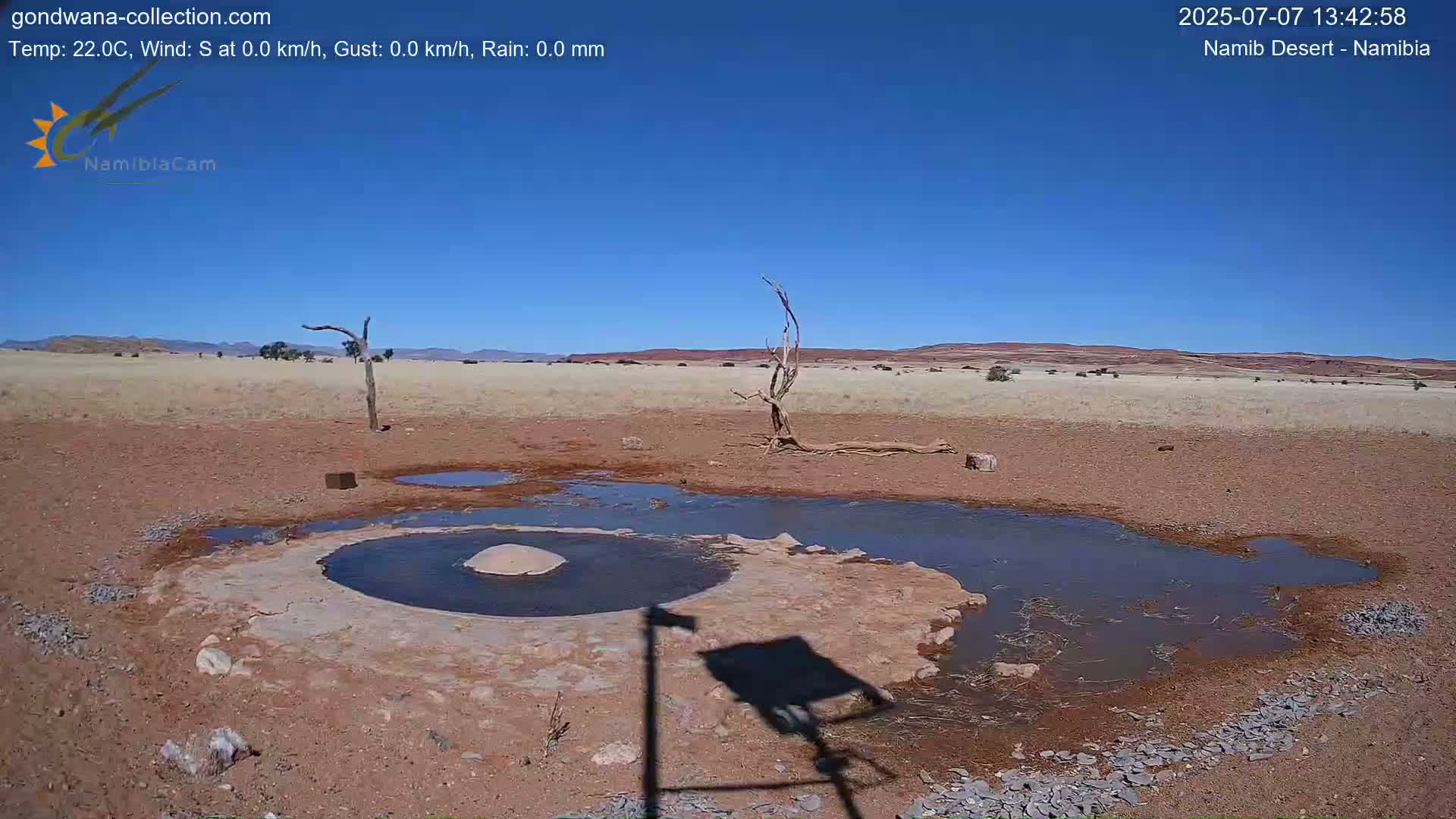 Wild Life in Namib Desert Naukluft National Park Live Cam - Maltahohe, Hardap,  Namibia