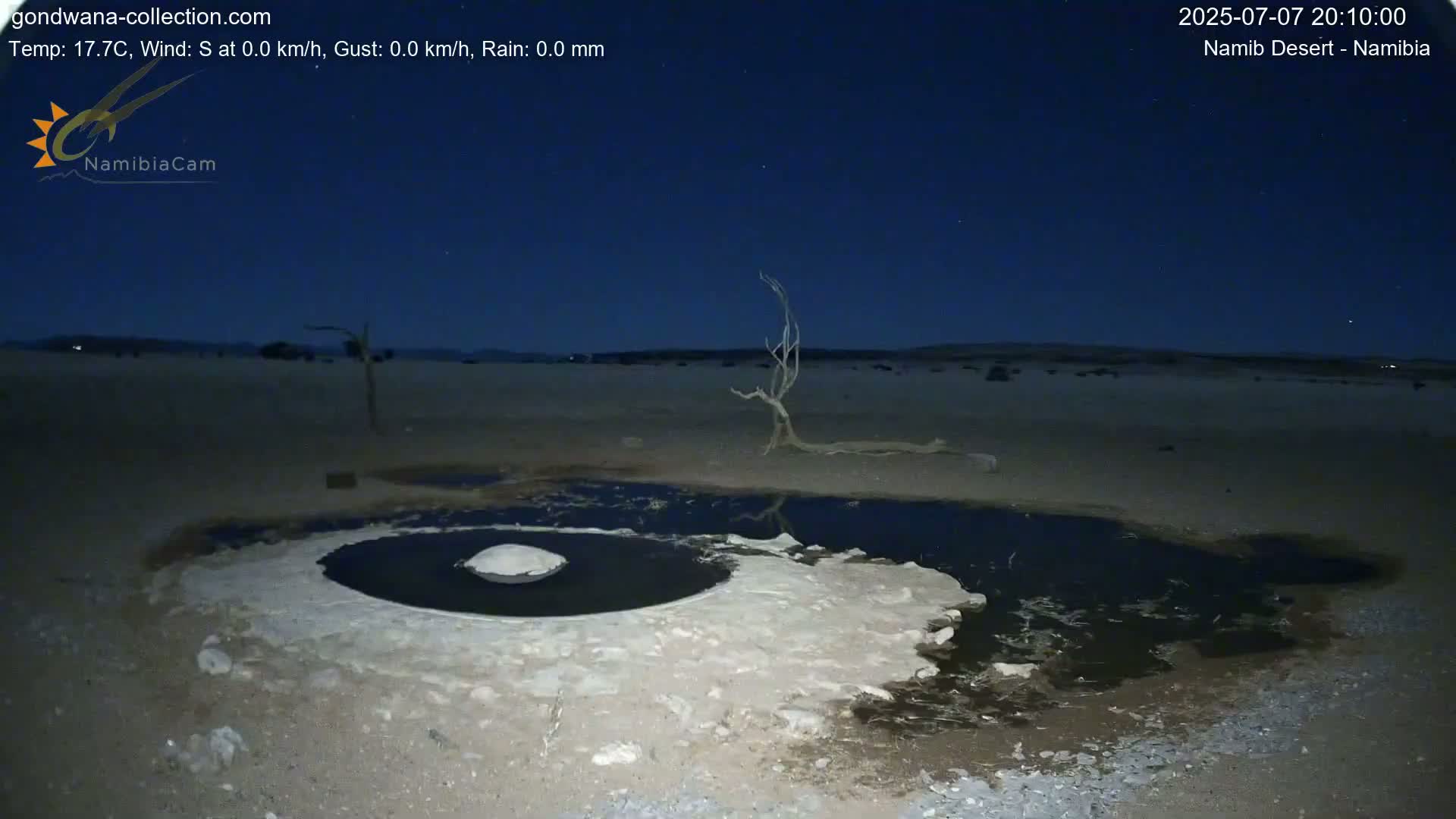 Wild Life in Namib Desert Naukluft National Park Live Cam - Maltahohe, Hardap,  Namibia