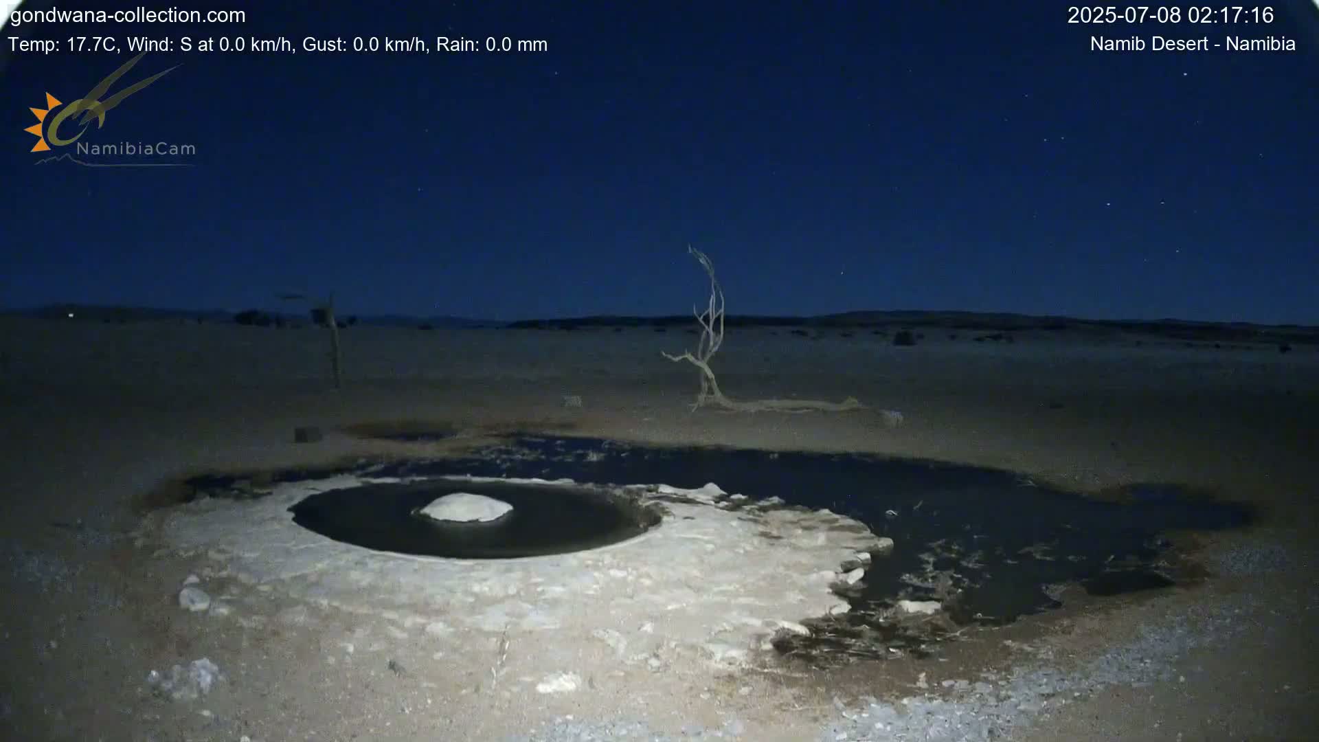 Wild Life in Namib Desert Naukluft National Park Live Cam - Maltahohe, Hardap,  Namibia