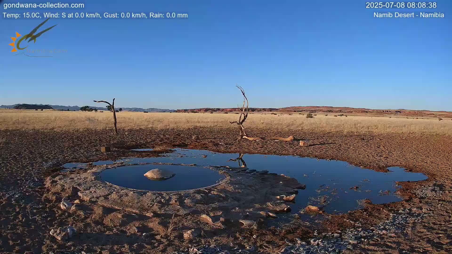 Wild Life in Namib Desert Naukluft National Park Live Cam - Maltahohe, Hardap,  Namibia