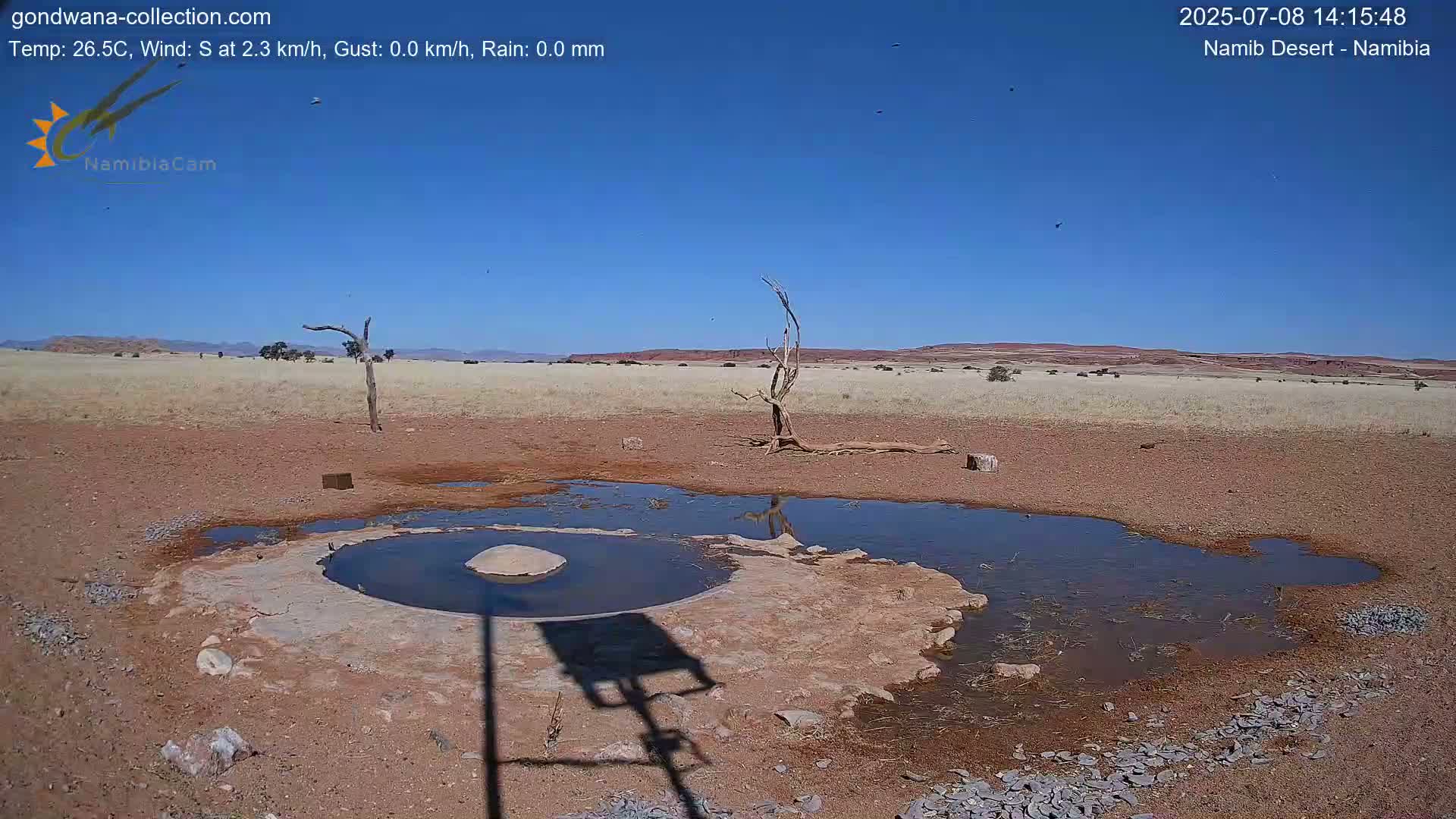 Wild Life in Namib Desert Naukluft National Park Live Cam - Maltahohe, Hardap,  Namibia