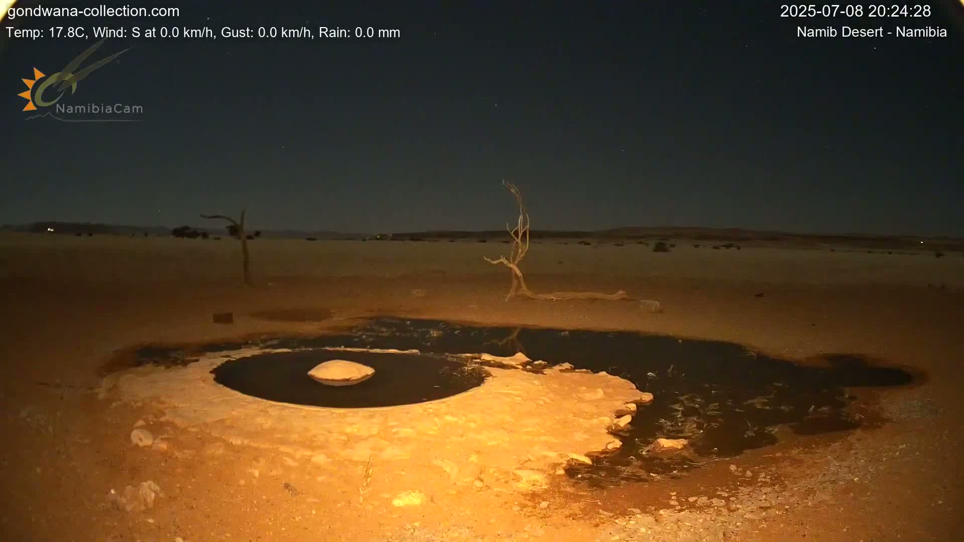 Wild Life in Namib Desert Naukluft National Park Live Cam - Maltahohe, Hardap,  Namibia