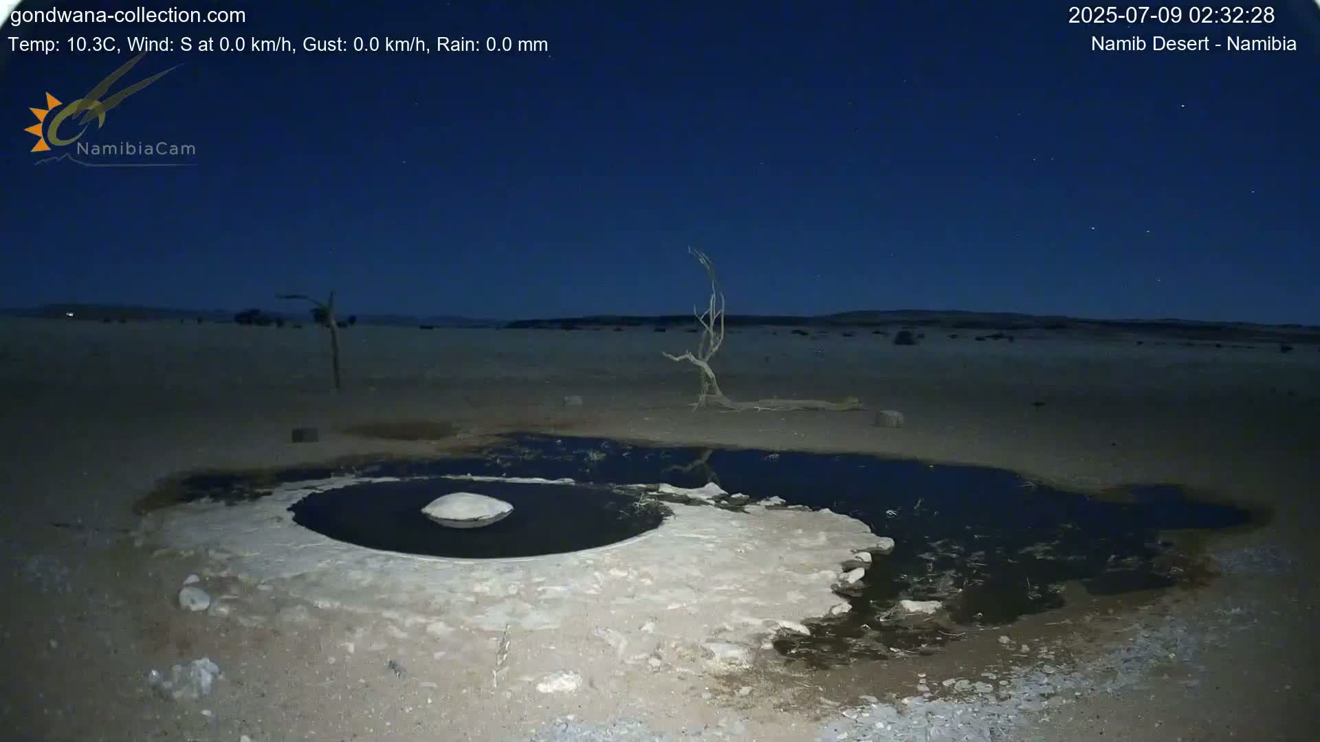 Wild Life in Namib Desert Naukluft National Park Live Cam - Maltahohe, Hardap,  Namibia