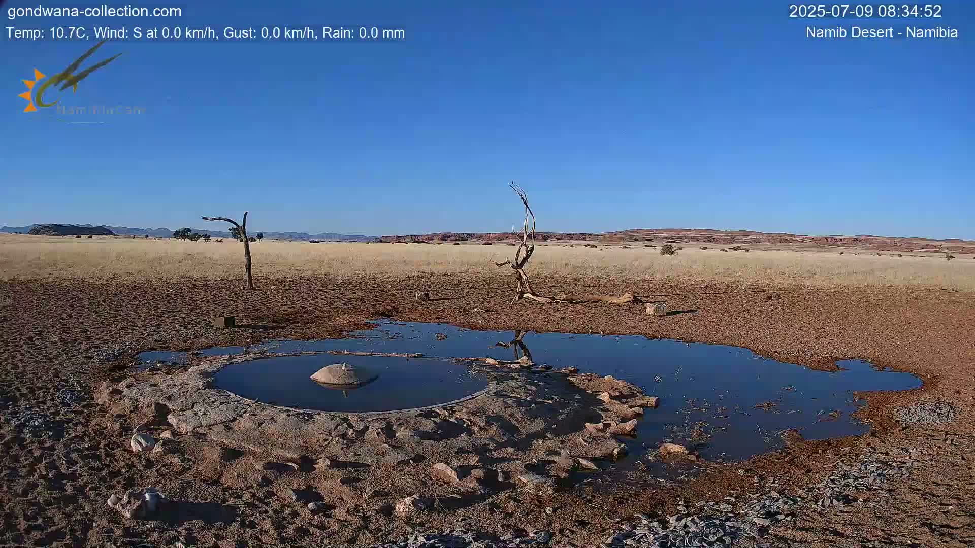 Wild Life in Namib Desert Naukluft National Park Live Cam - Maltahohe, Hardap,  Namibia