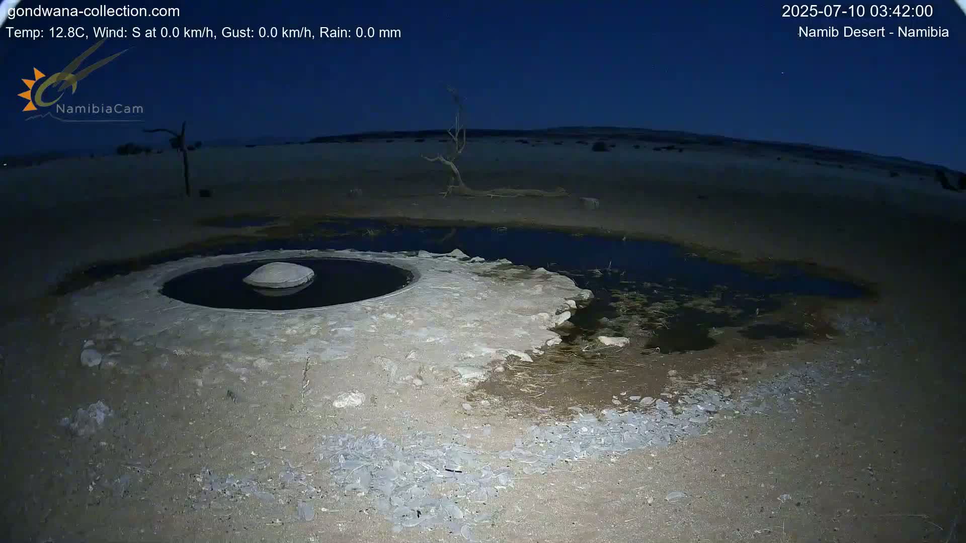 Wild Life in Namib Desert Naukluft National Park Live Cam - Maltahohe, Hardap,  Namibia