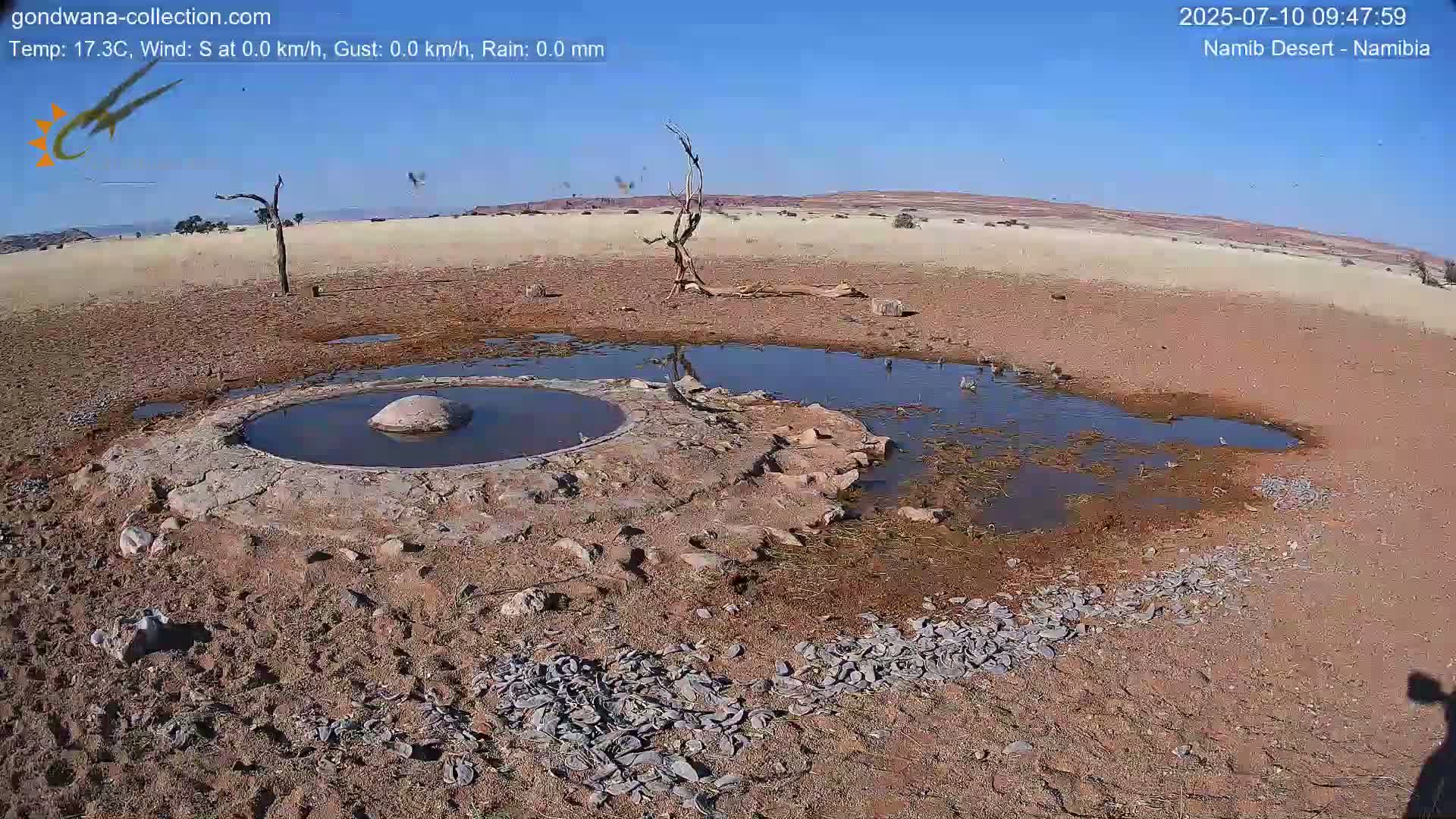 A small, circular waterhole with a large stone in the center is surrounded by dry, cracked earth and several birds near a partially dry larger puddle under a clear blue sky.