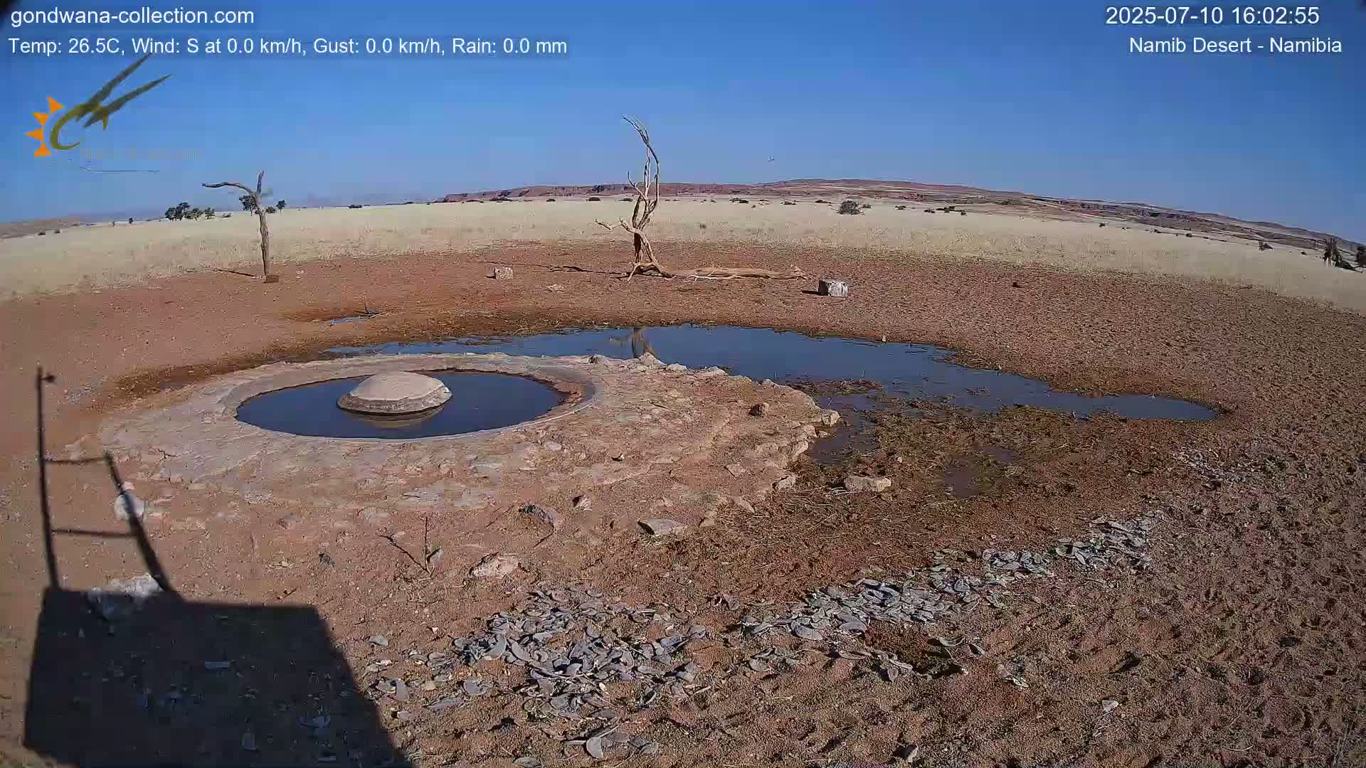 Wild Life in Namib Desert Naukluft National Park Live Cam - Maltahohe, Hardap,  Namibia