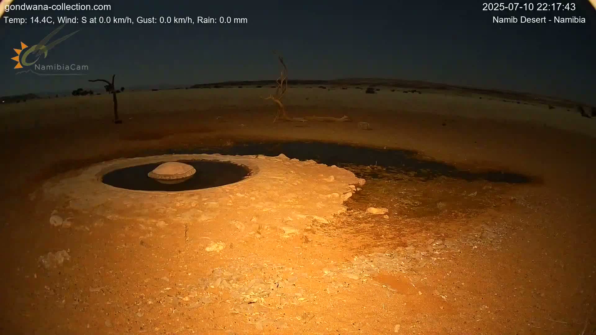 Wild Life in Namib Desert Naukluft National Park Live Cam - Maltahohe, Hardap,  Namibia