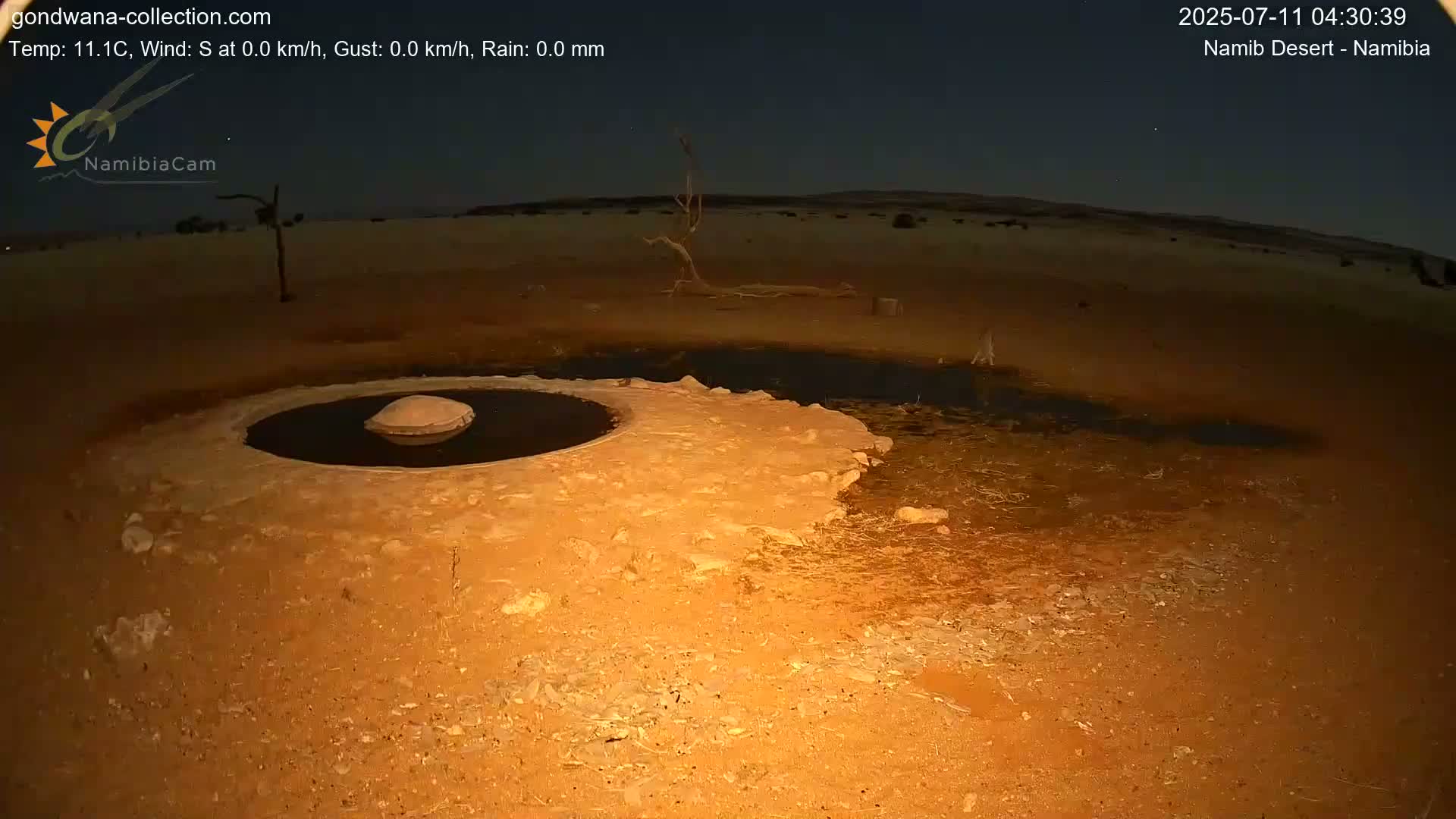 Wild Life in Namib Desert Naukluft National Park Live Cam - Maltahohe, Hardap,  Namibia