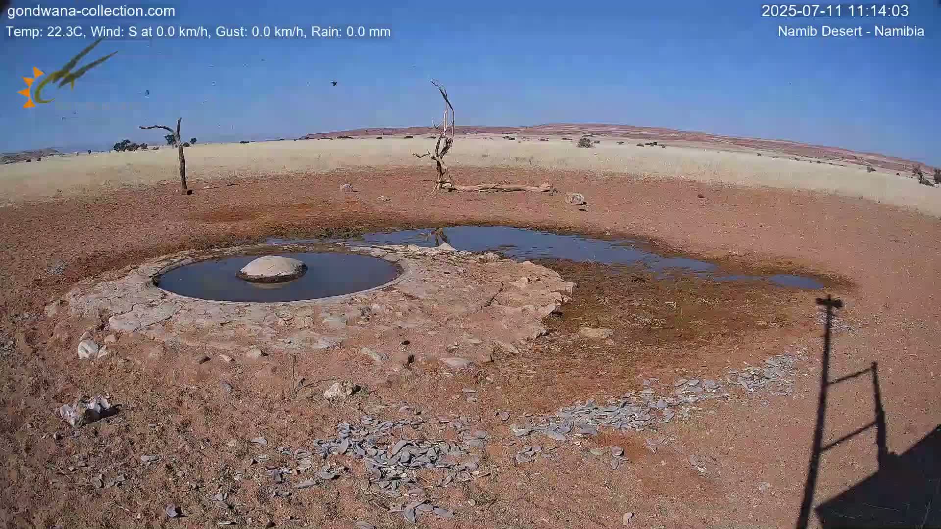 Wild Life in Namib Desert Naukluft National Park Live Cam - Maltahohe, Hardap,  Namibia