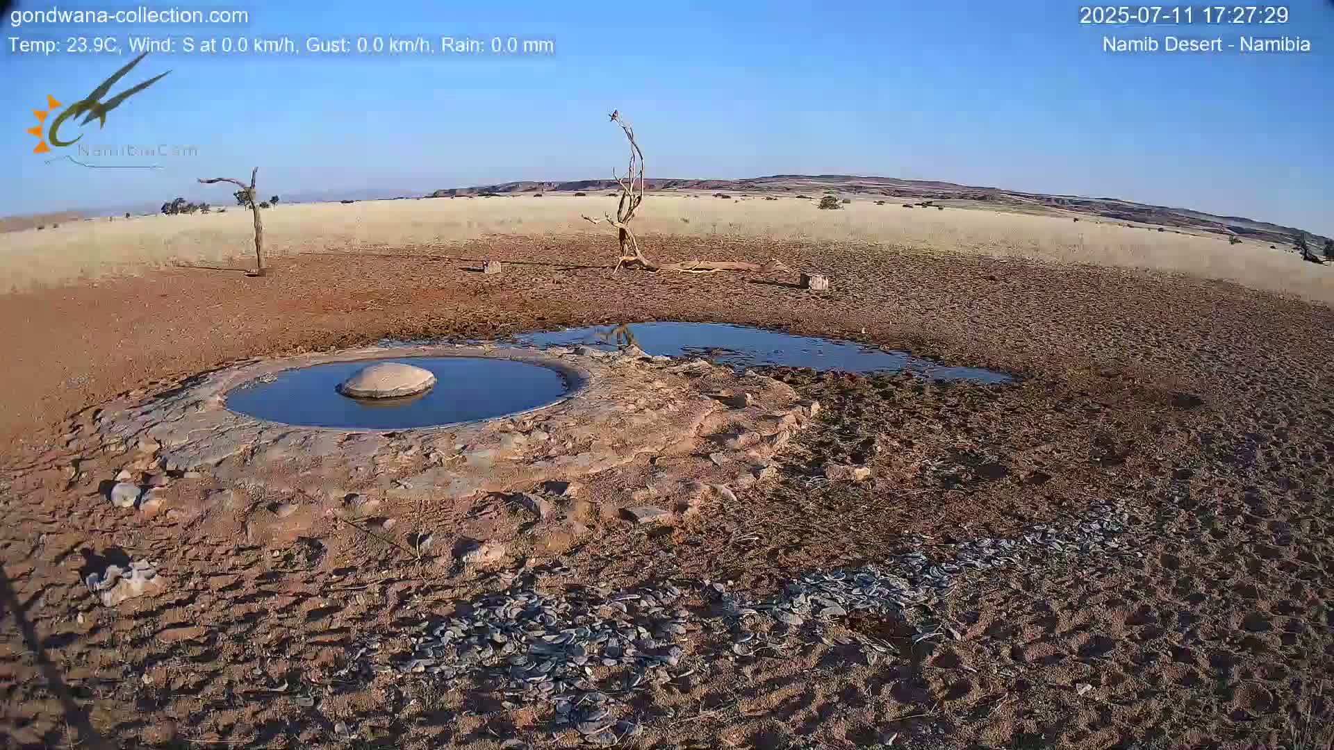 Wild Life in Namib Desert Naukluft National Park Live Cam - Maltahohe, Hardap,  Namibia