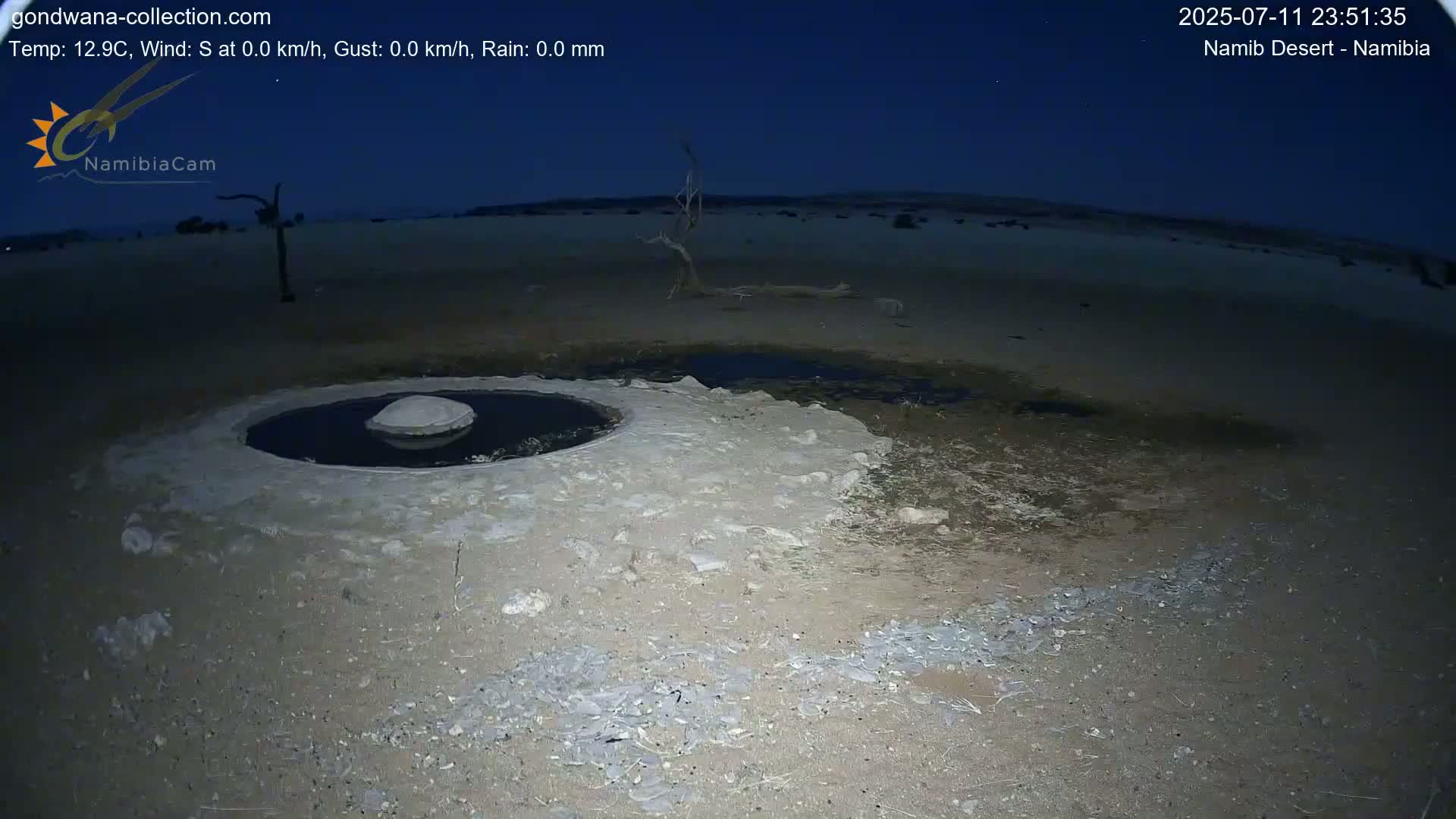Wild Life in Namib Desert Naukluft National Park Live Cam - Maltahohe, Hardap,  Namibia