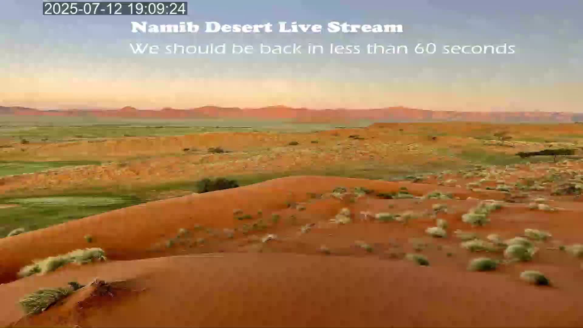 Wild Life in Namib Desert Naukluft National Park Live Cam - Maltahohe, Hardap,  Namibia