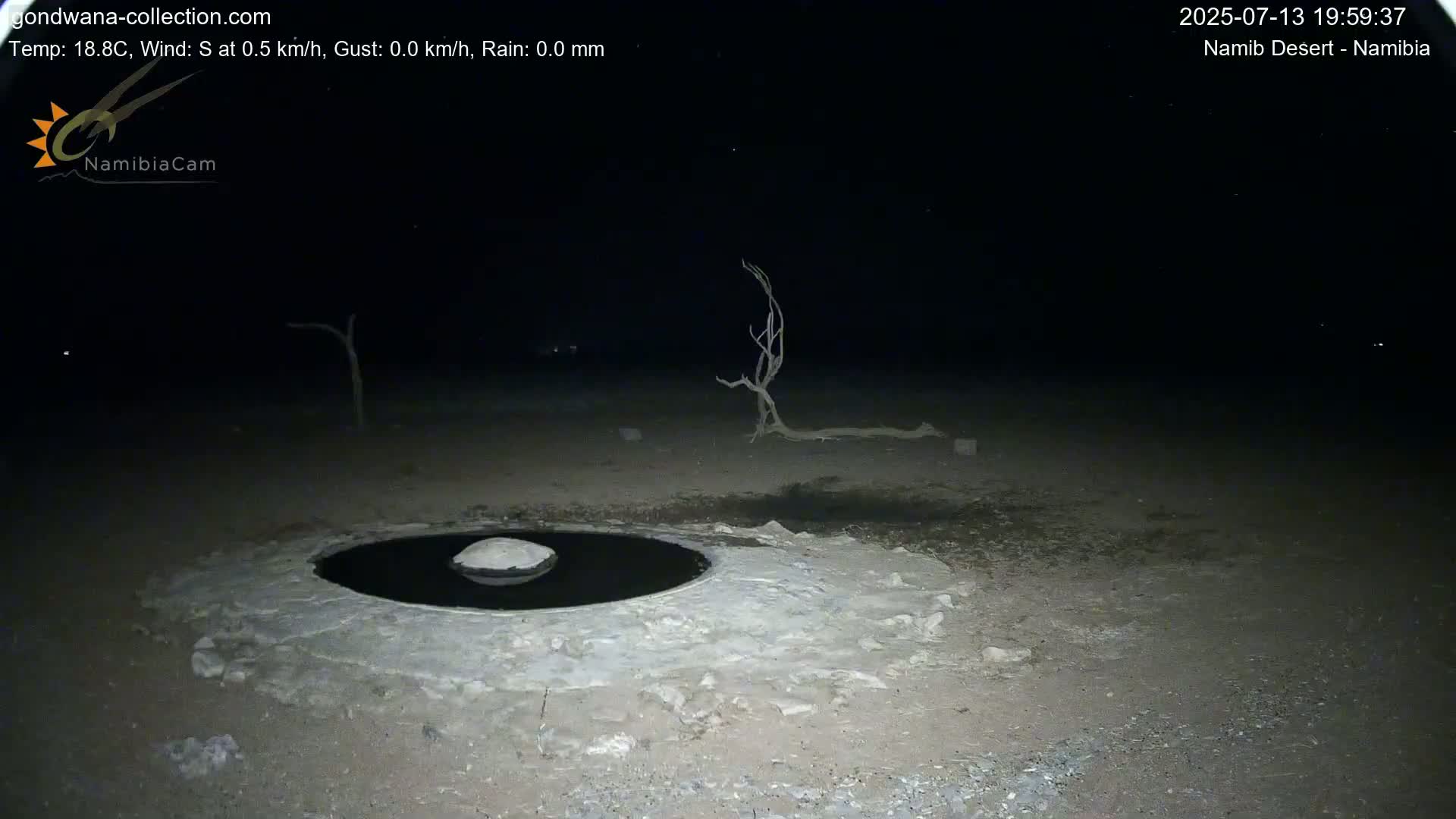 Wild Life in Namib Desert Naukluft National Park Live Cam - Maltahohe, Hardap,  Namibia