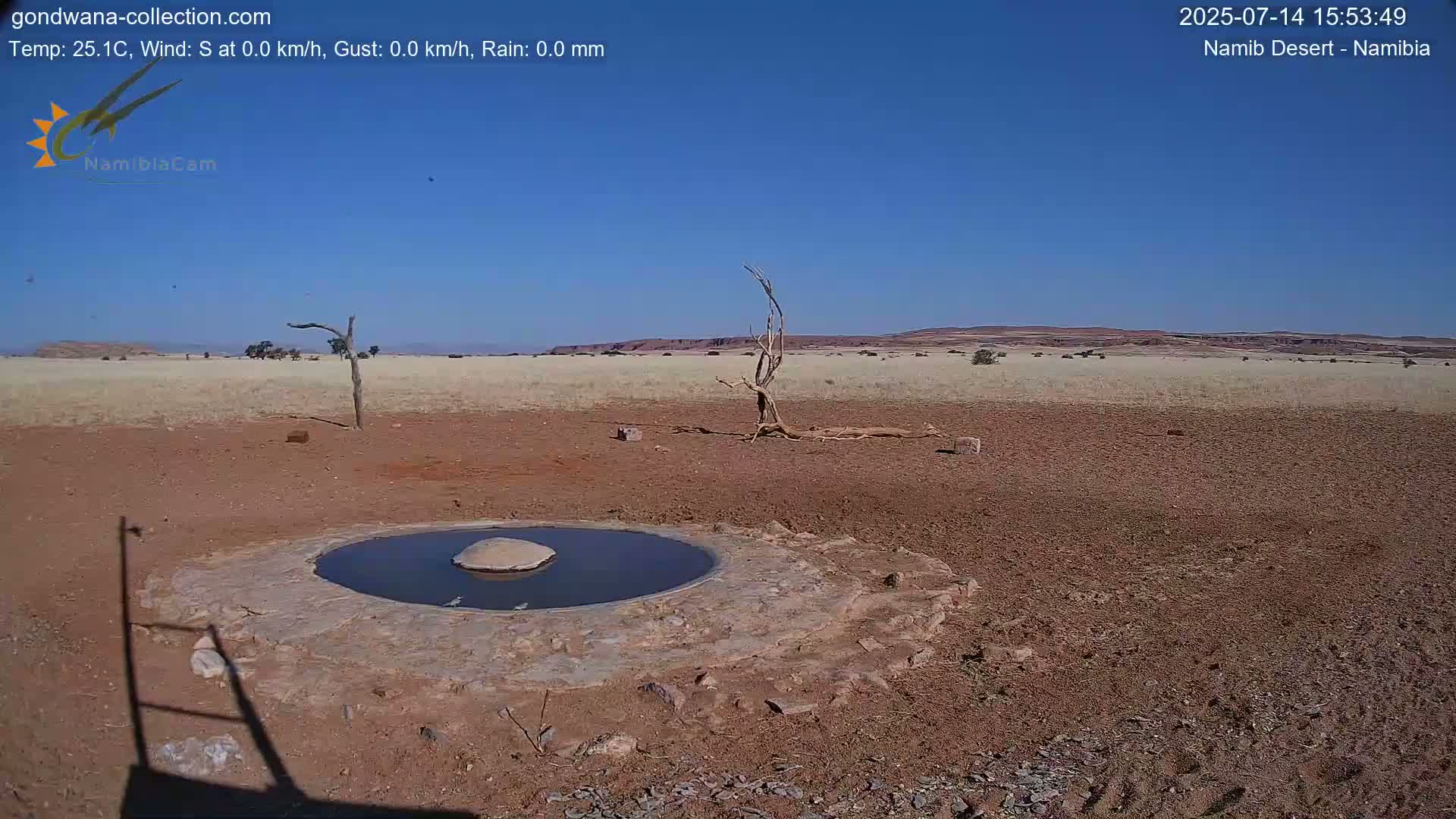 Wild Life in Namib Desert Naukluft National Park Live Cam - Maltahohe, Hardap,  Namibia