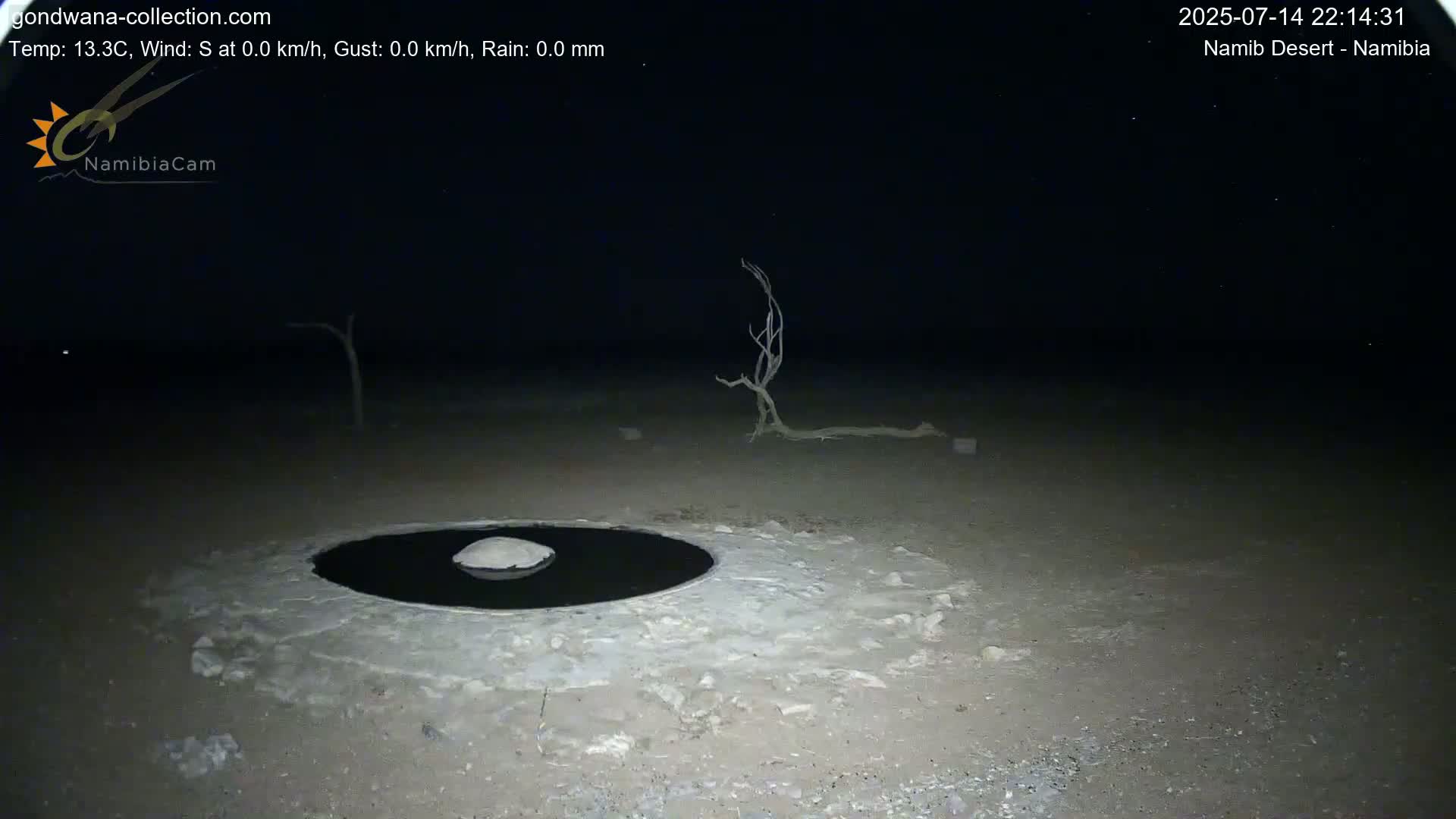 Wild Life in Namib Desert Naukluft National Park Live Cam - Maltahohe, Hardap,  Namibia