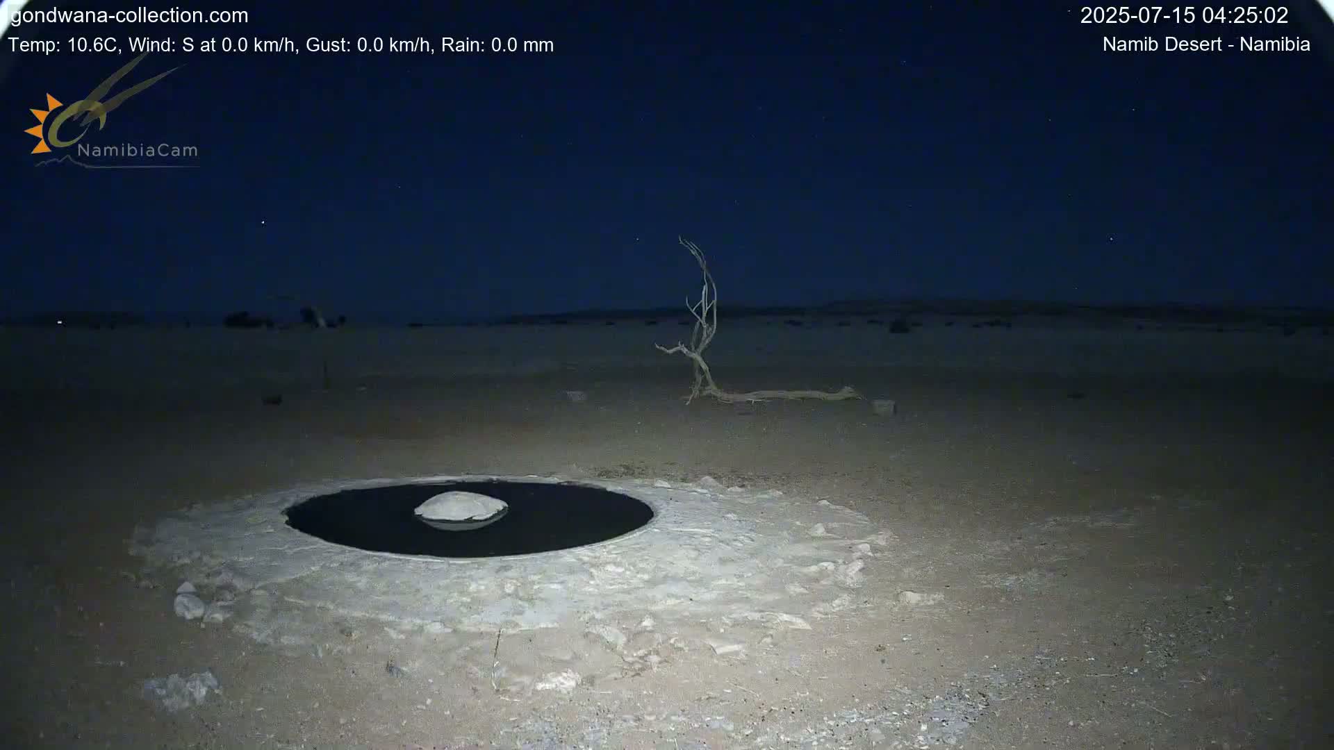 Wild Life in Namib Desert Naukluft National Park Live Cam - Maltahohe, Hardap,  Namibia