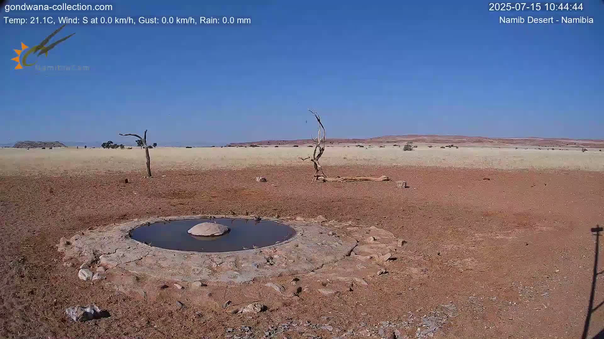 Wild Life in Namib Desert Naukluft National Park Live Cam - Maltahohe, Hardap,  Namibia