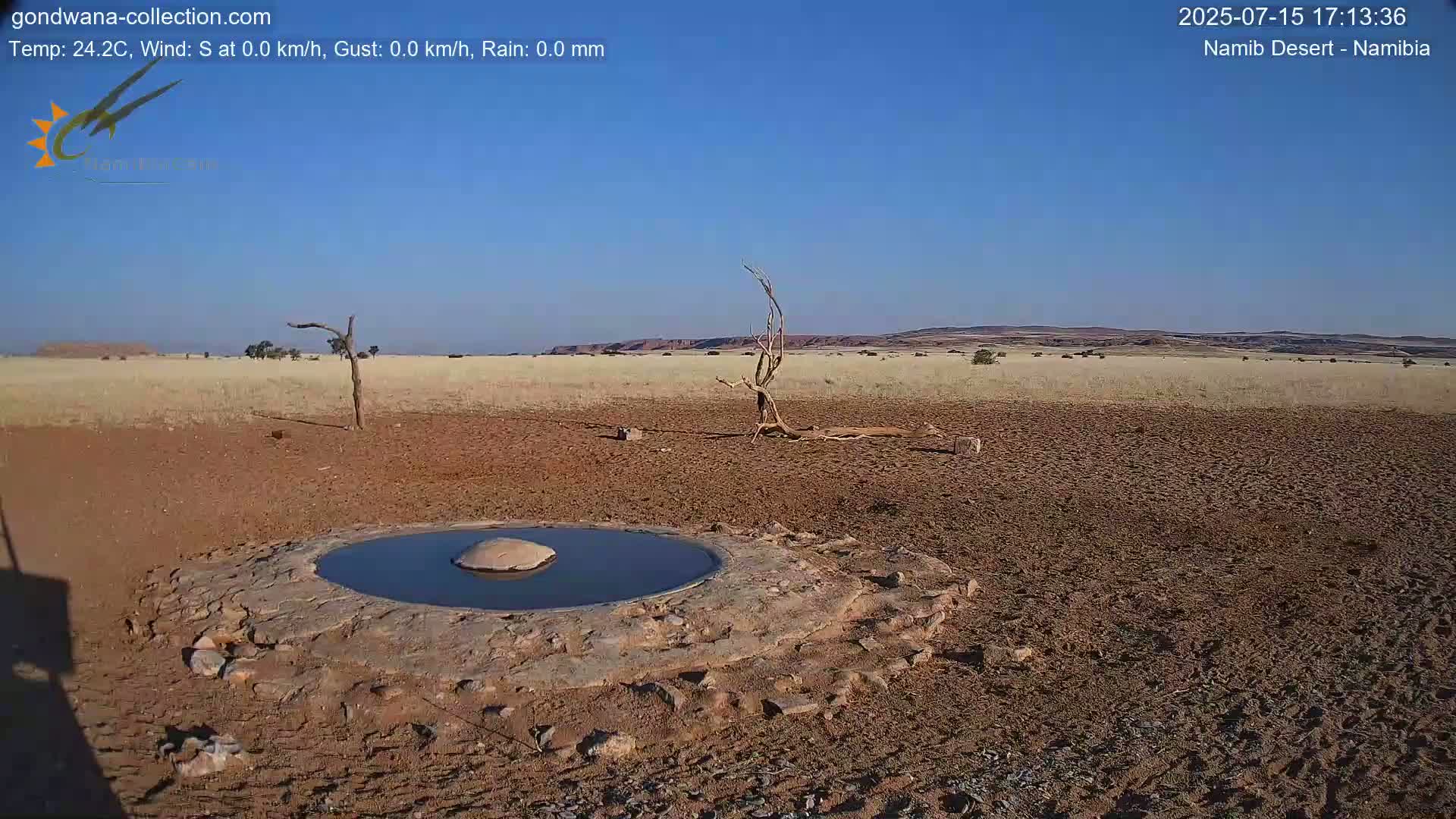 Wild Life in Namib Desert Naukluft National Park Live Cam - Maltahohe, Hardap,  Namibia