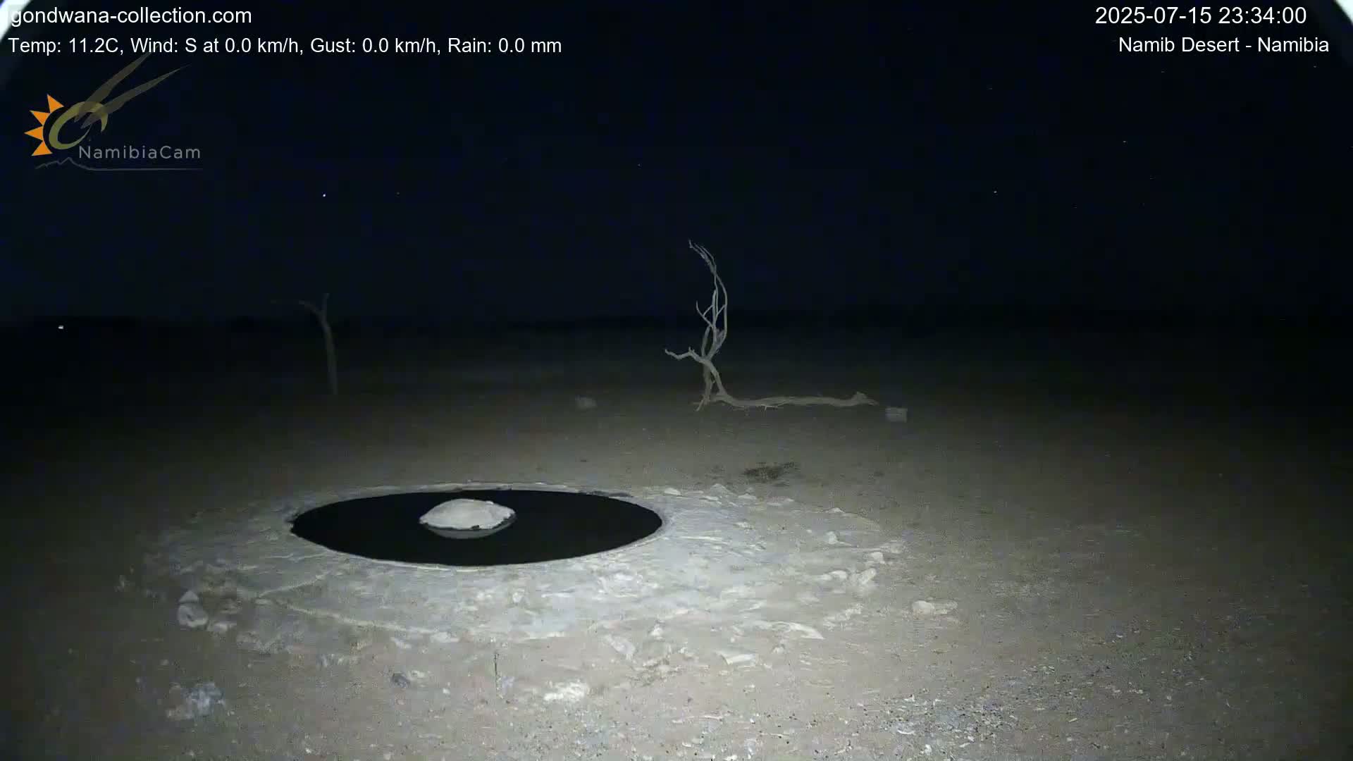 Wild Life in Namib Desert Naukluft National Park Live Cam - Maltahohe, Hardap,  Namibia