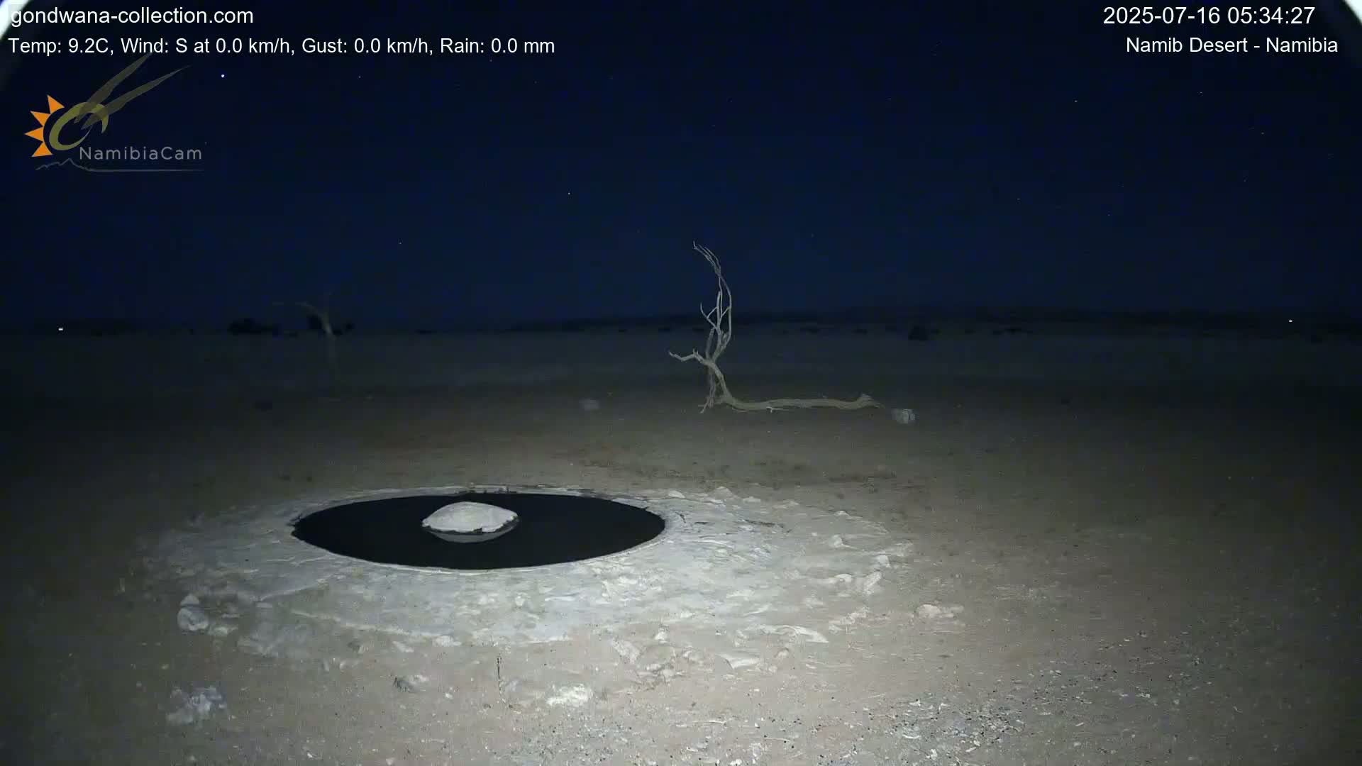 Wild Life in Namib Desert Naukluft National Park Live Cam - Maltahohe, Hardap,  Namibia