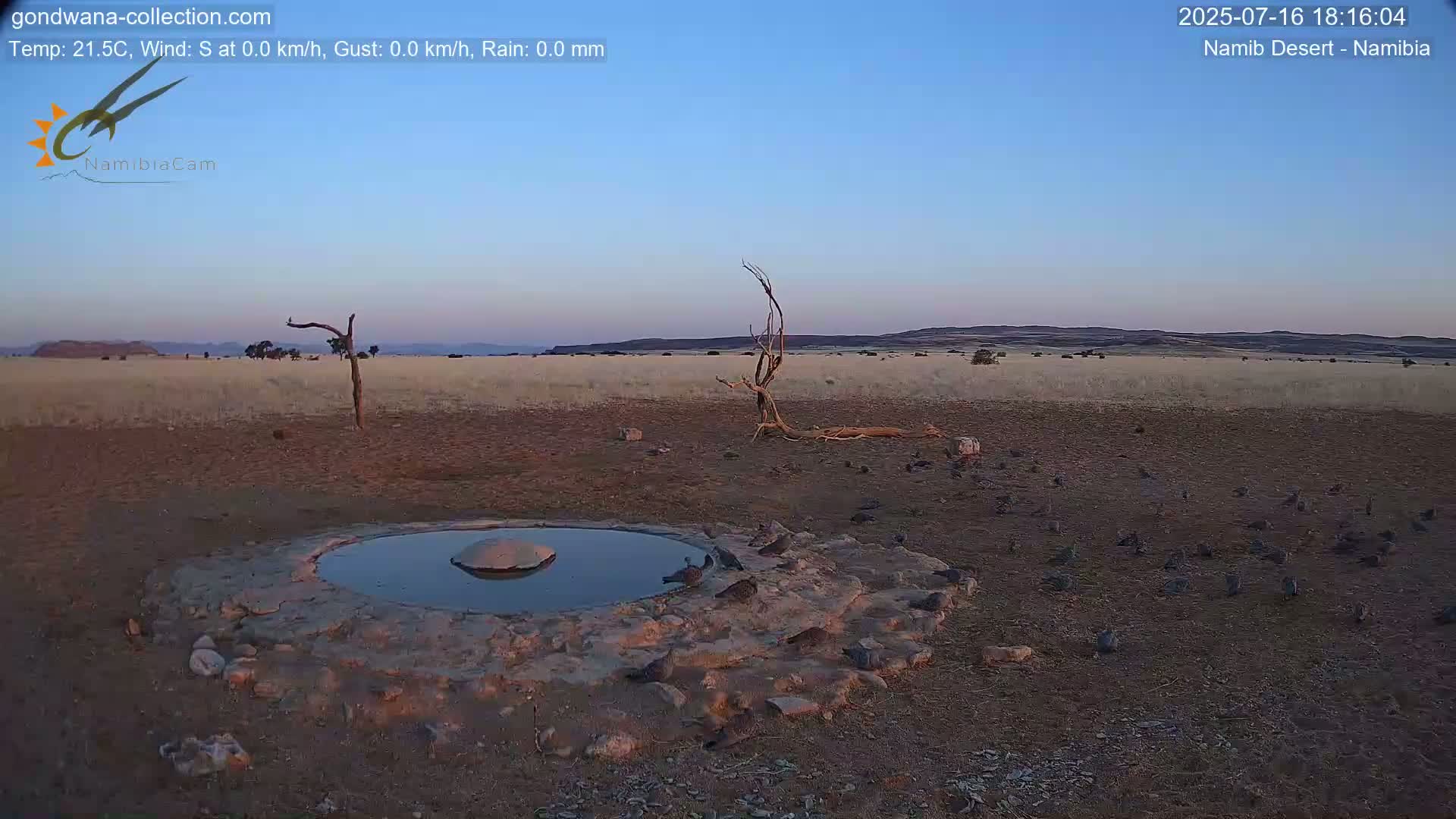 Wild Life in Namib Desert Naukluft National Park Live Cam - Maltahohe, Hardap,  Namibia