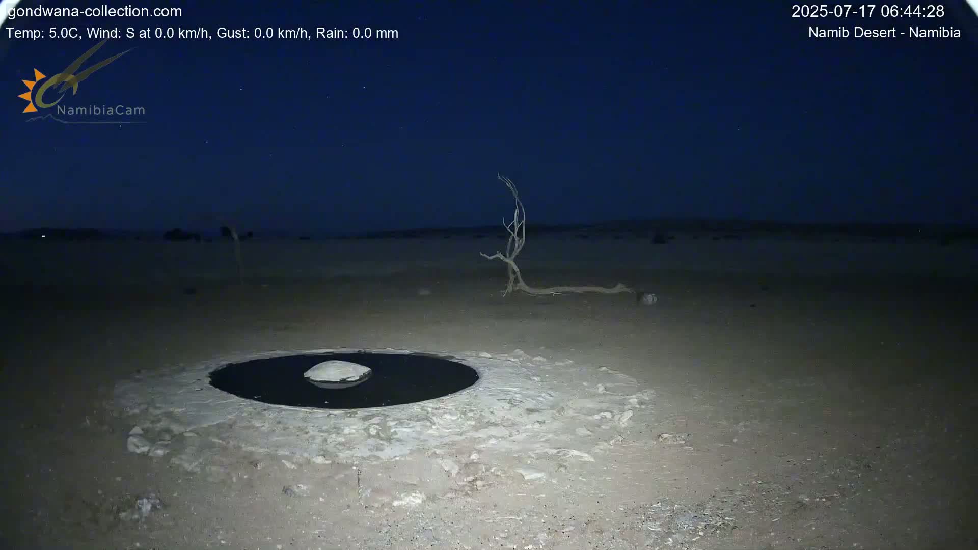 Wild Life in Namib Desert Naukluft National Park Live Cam - Maltahohe, Hardap,  Namibia